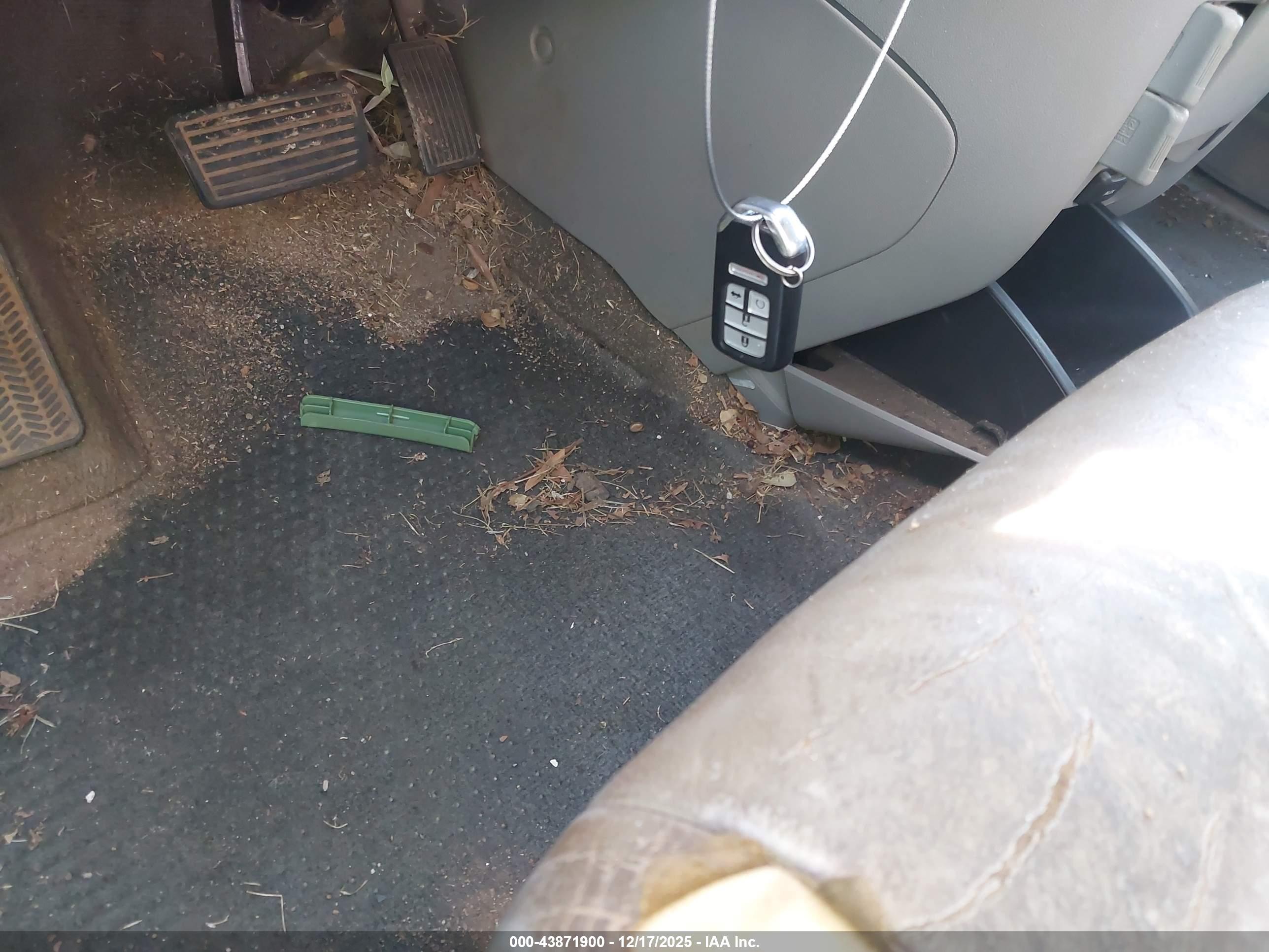 HONDA ODYSSEY image 11