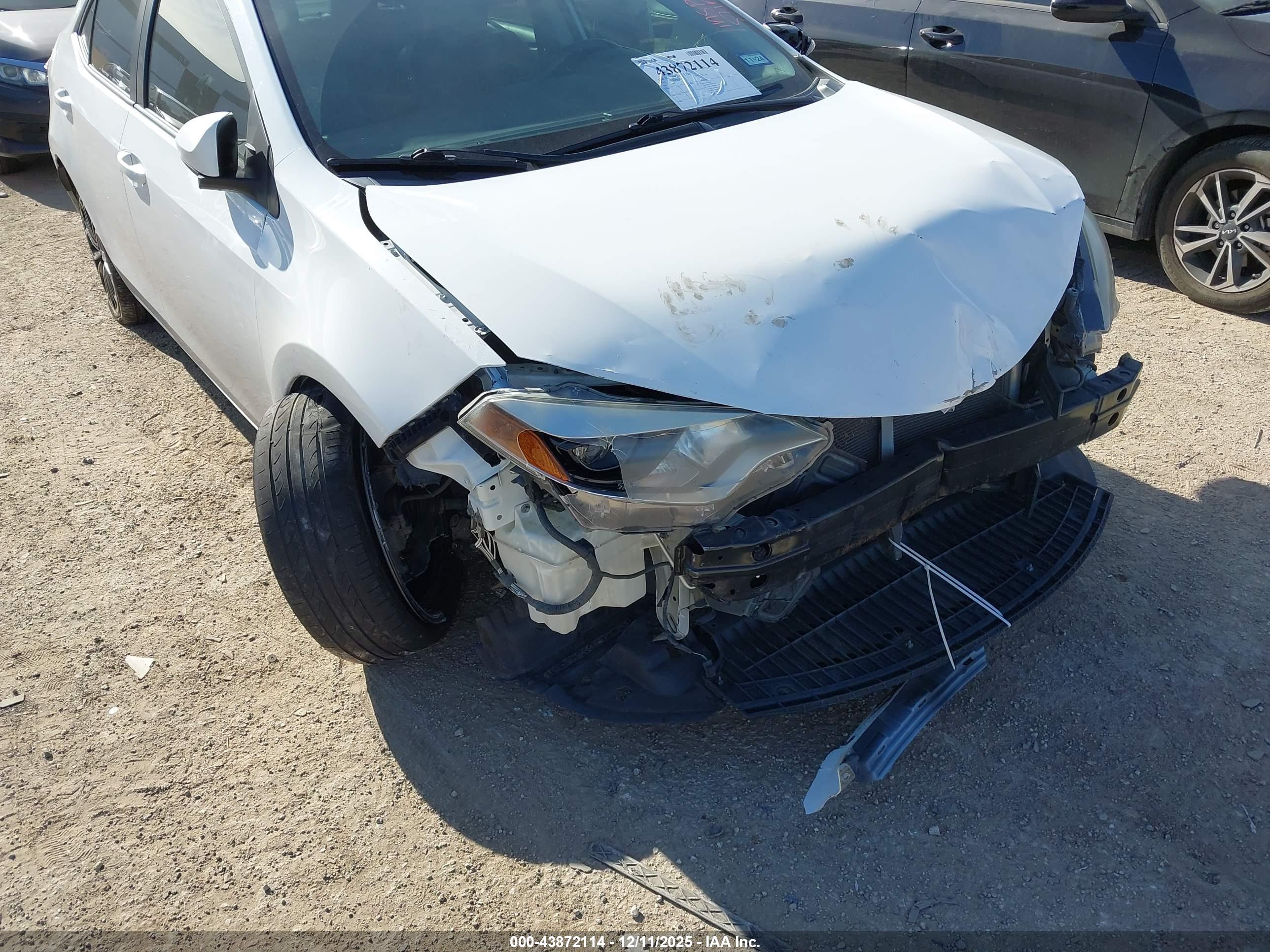 TOYOTA COROLLA image 6