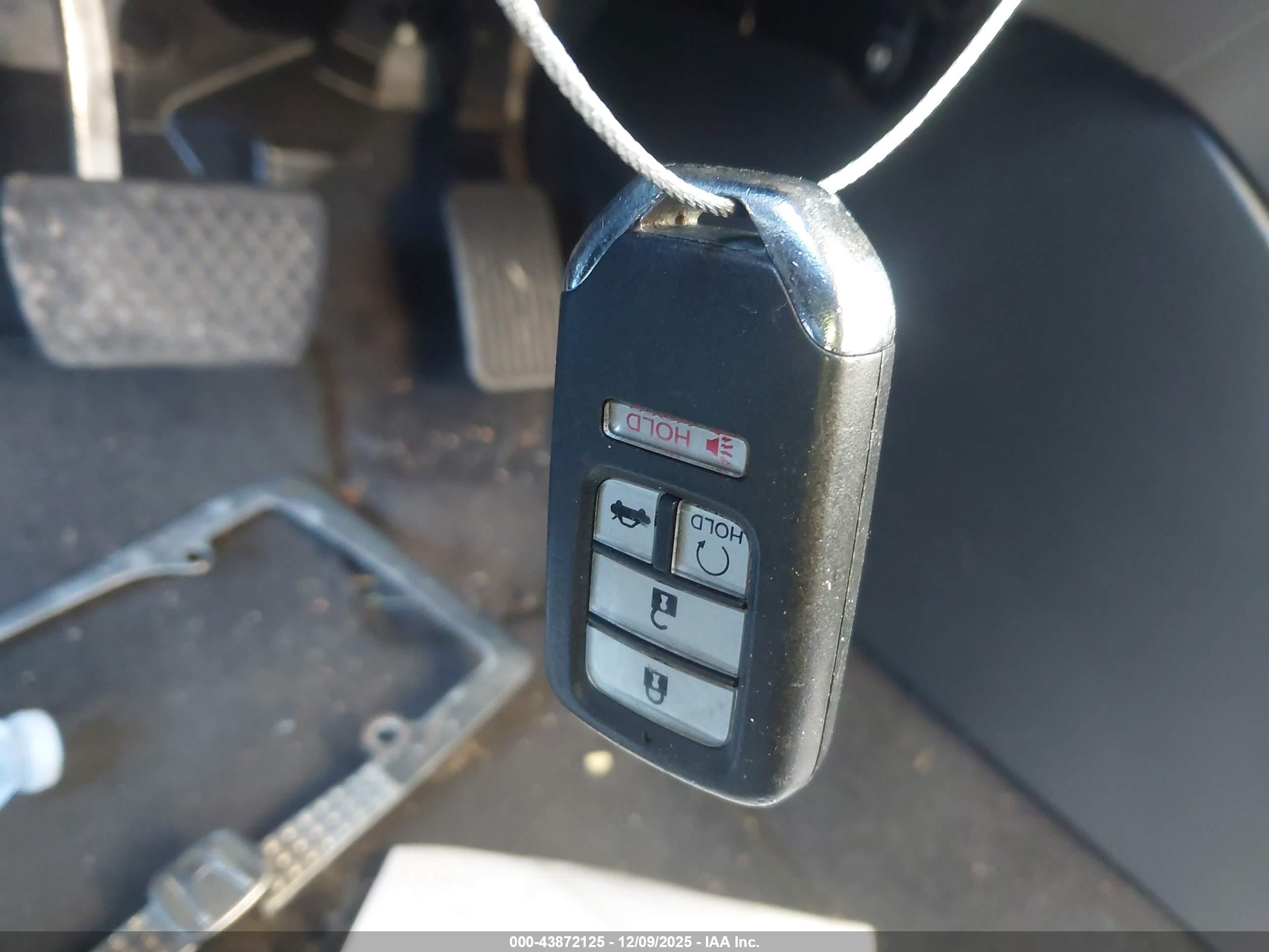 HONDA ACCORD image 11
