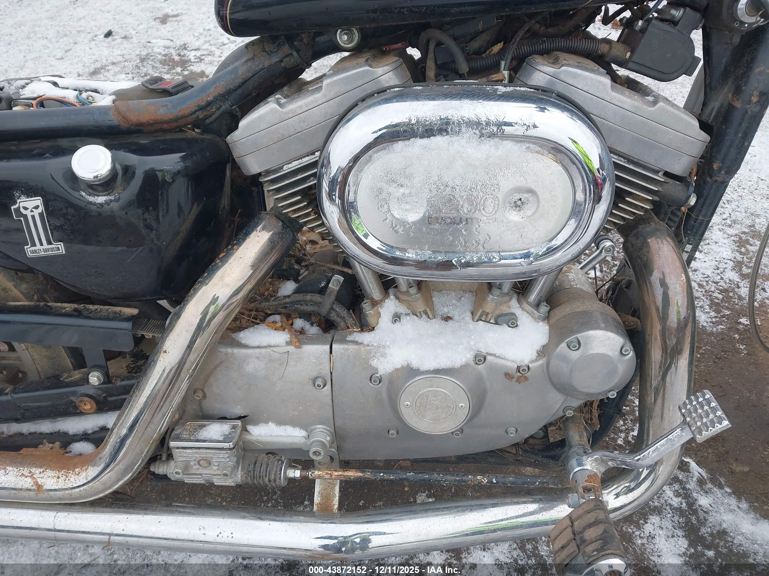 HARLEY-DAVIDSON XL1200 image 8