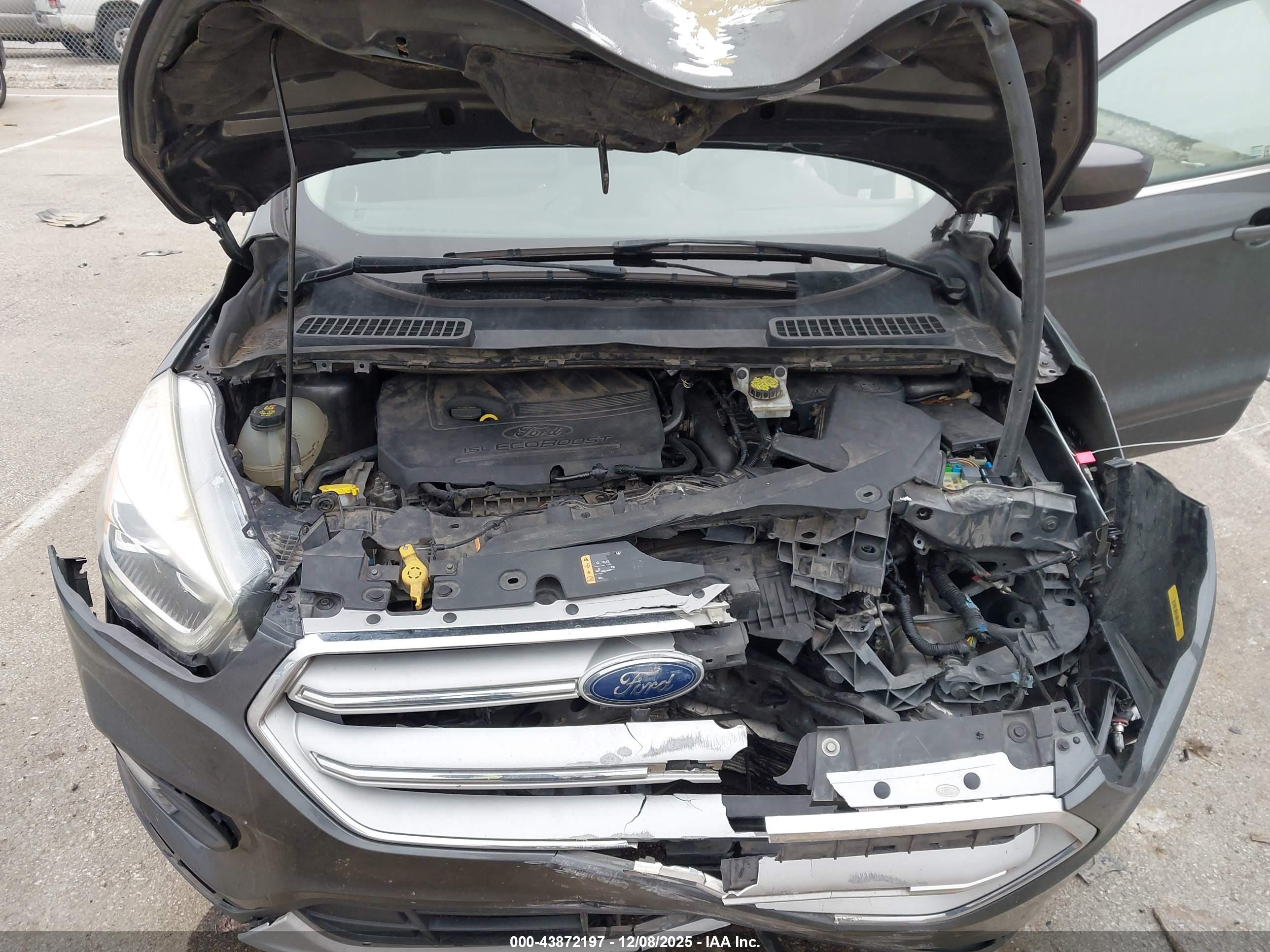 FORD ESCAPE image 10