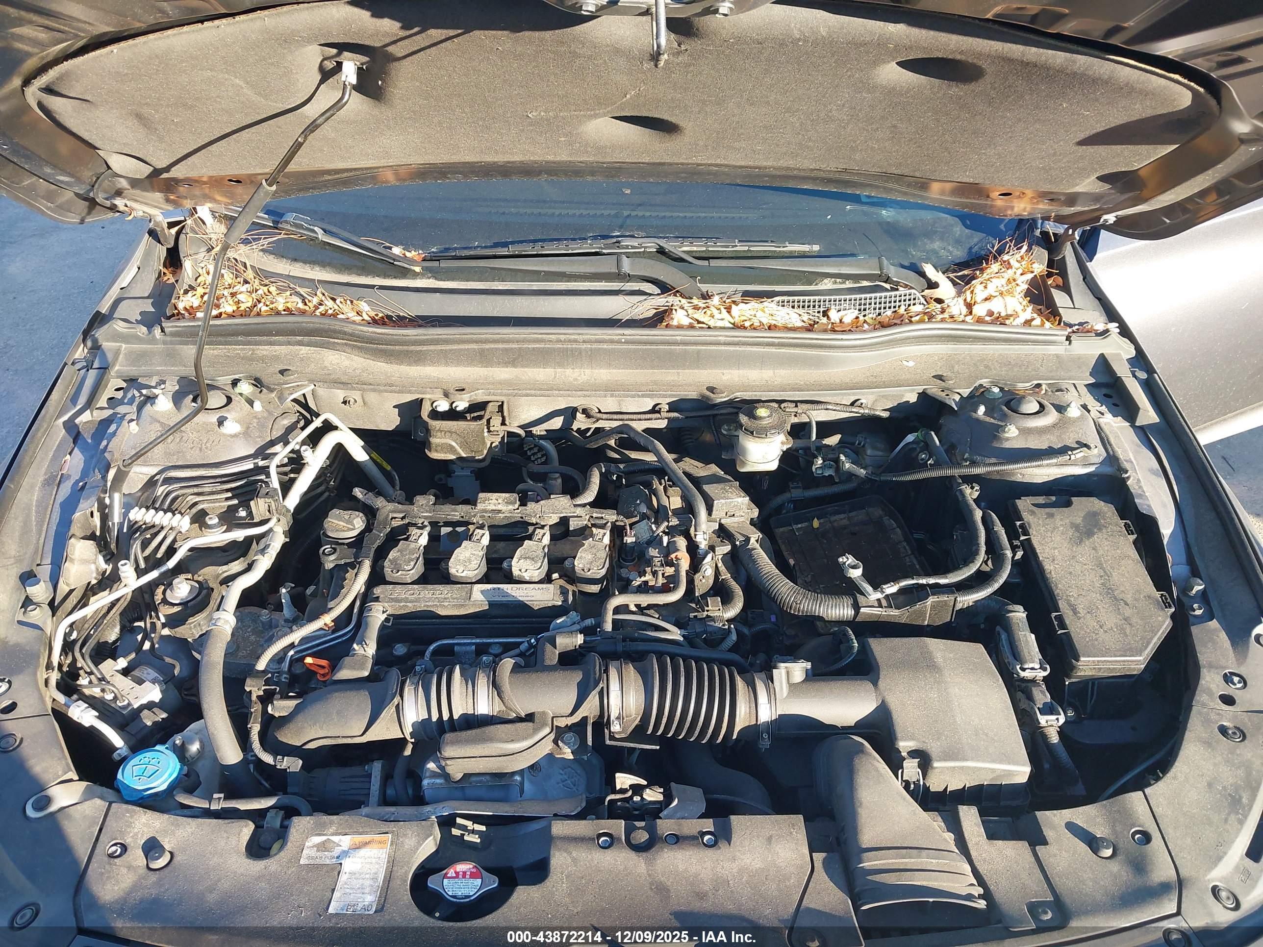 HONDA ACCORD image 10