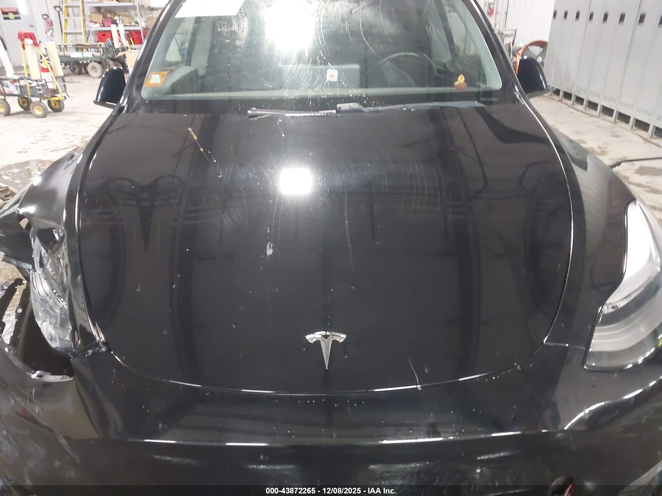 TESLA MODEL image 10