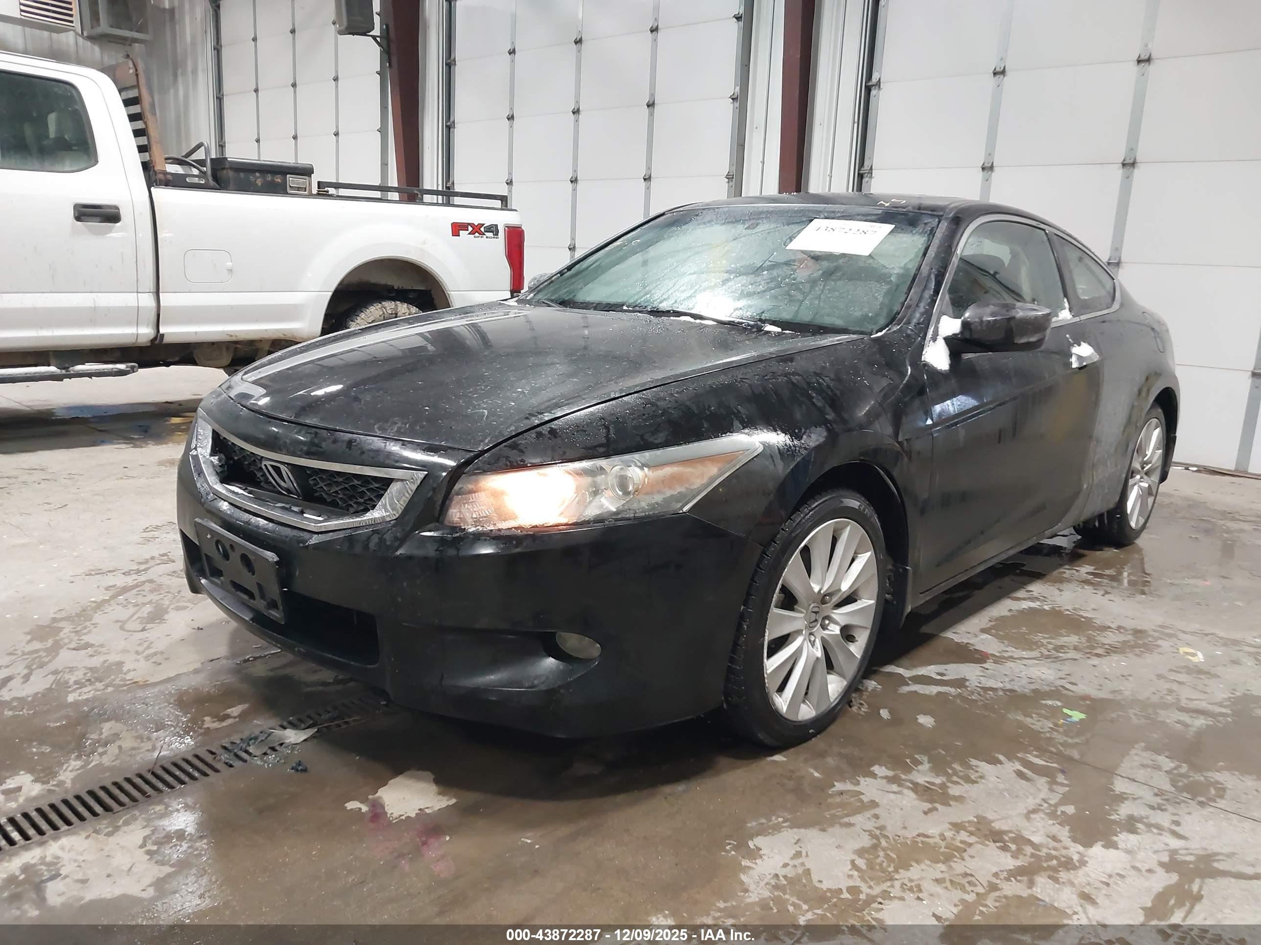 HONDA ACCORD image 2