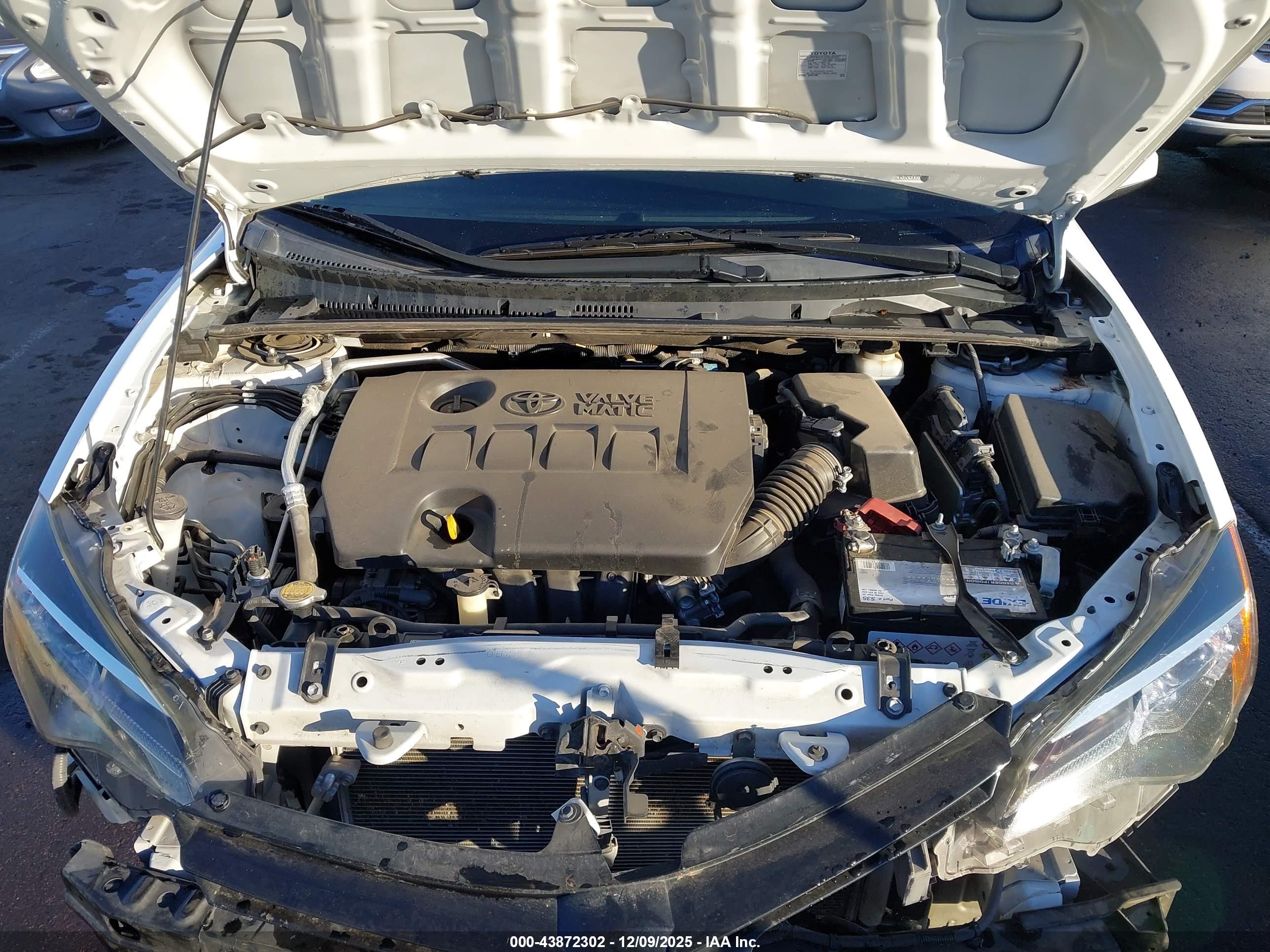 TOYOTA COROLLA image 10