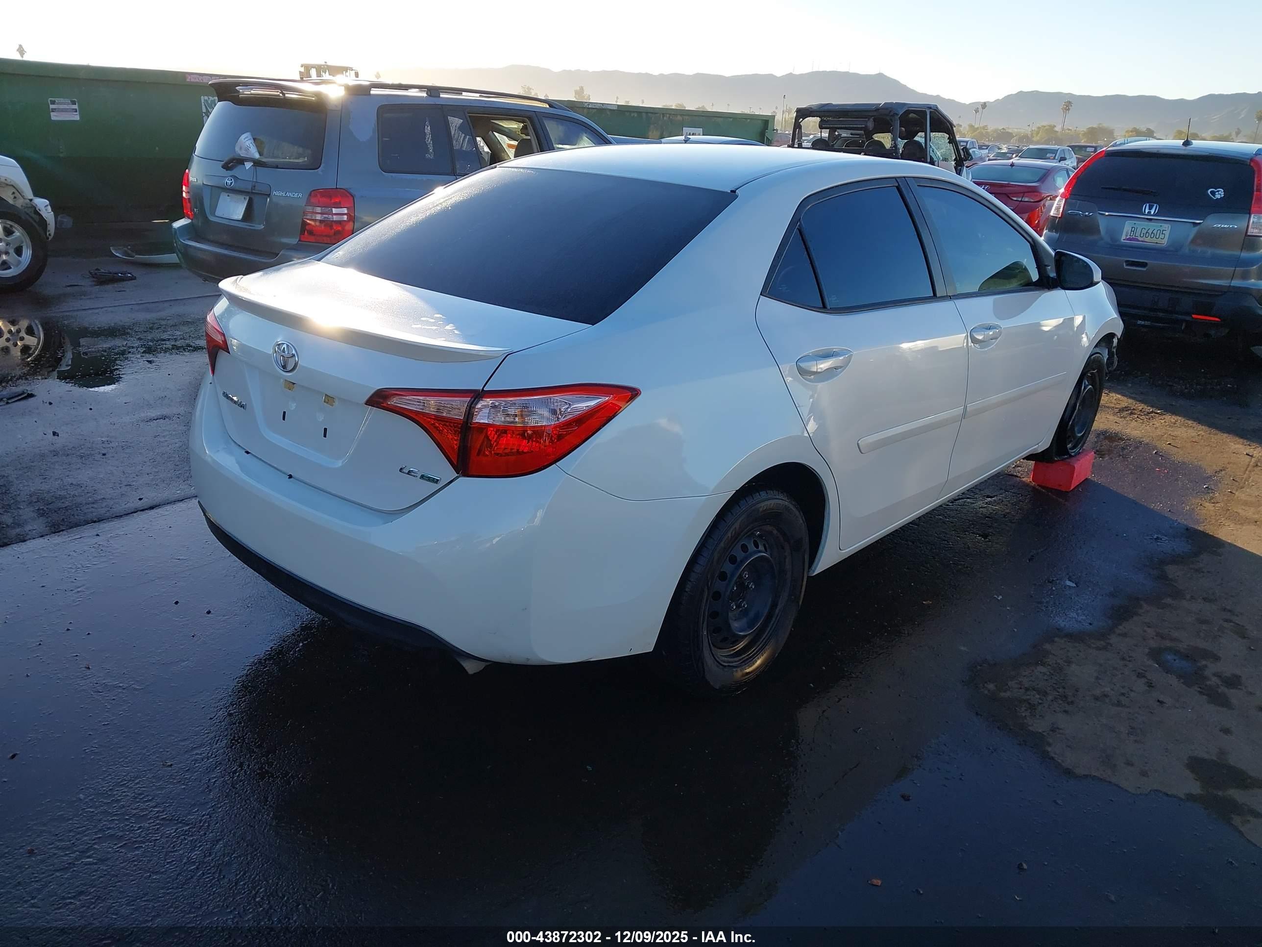 TOYOTA COROLLA image 4