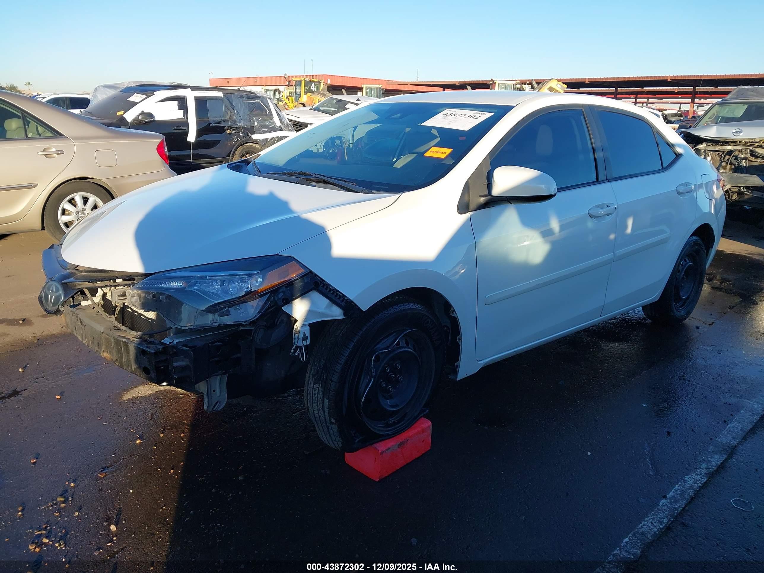 TOYOTA COROLLA image 6