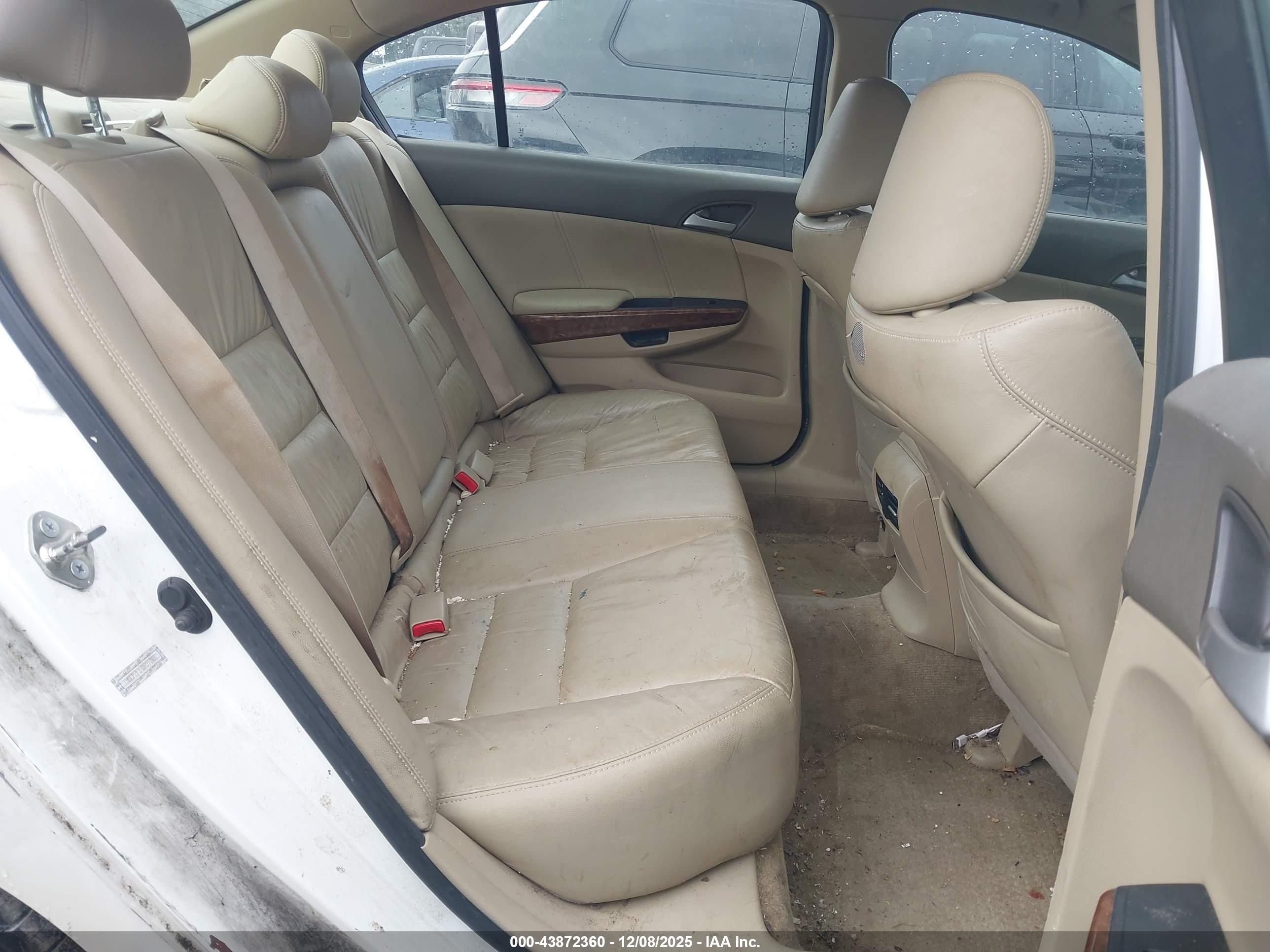 HONDA ACCORD image 8