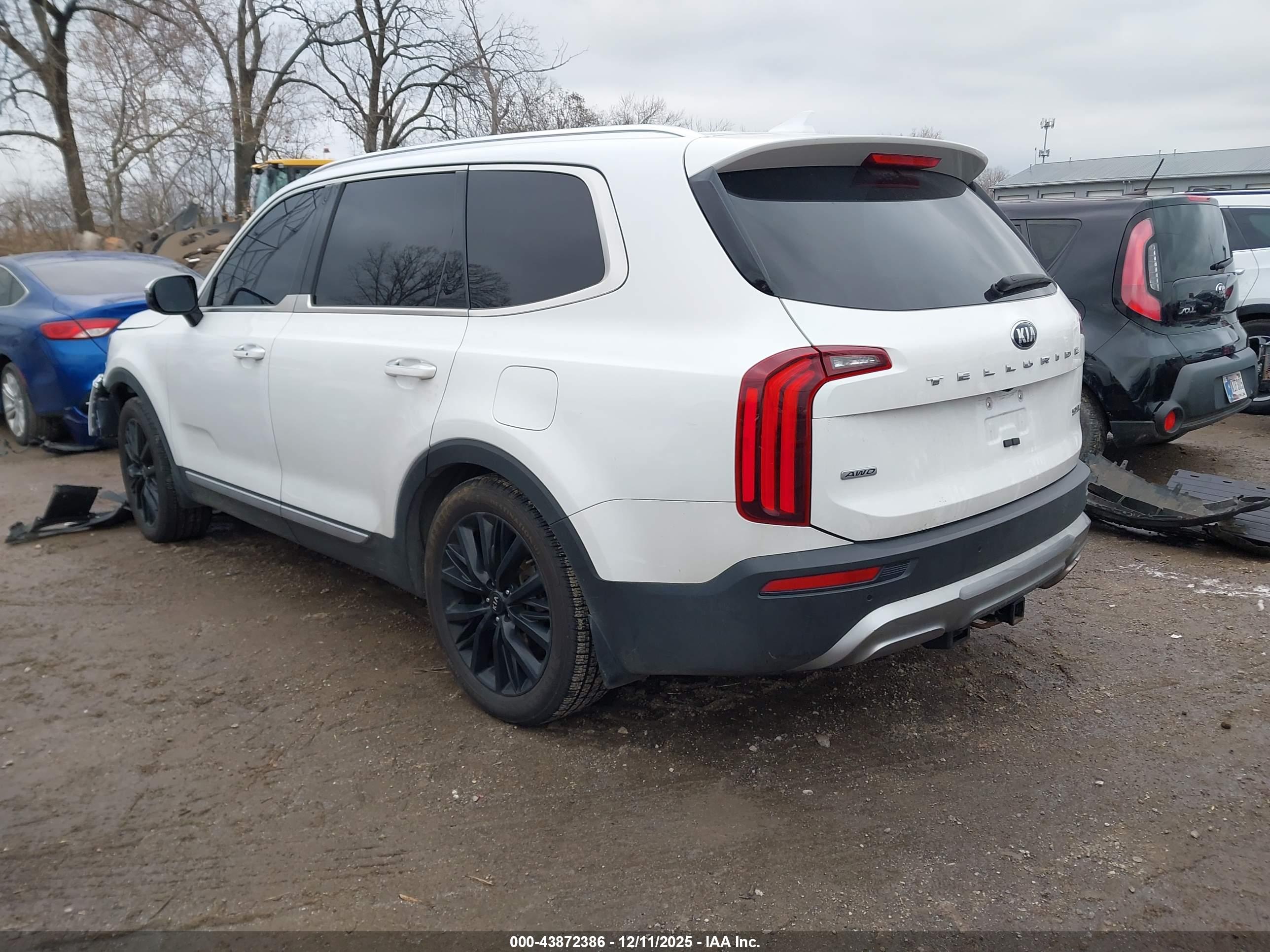 KIA TELLURIDE image 3