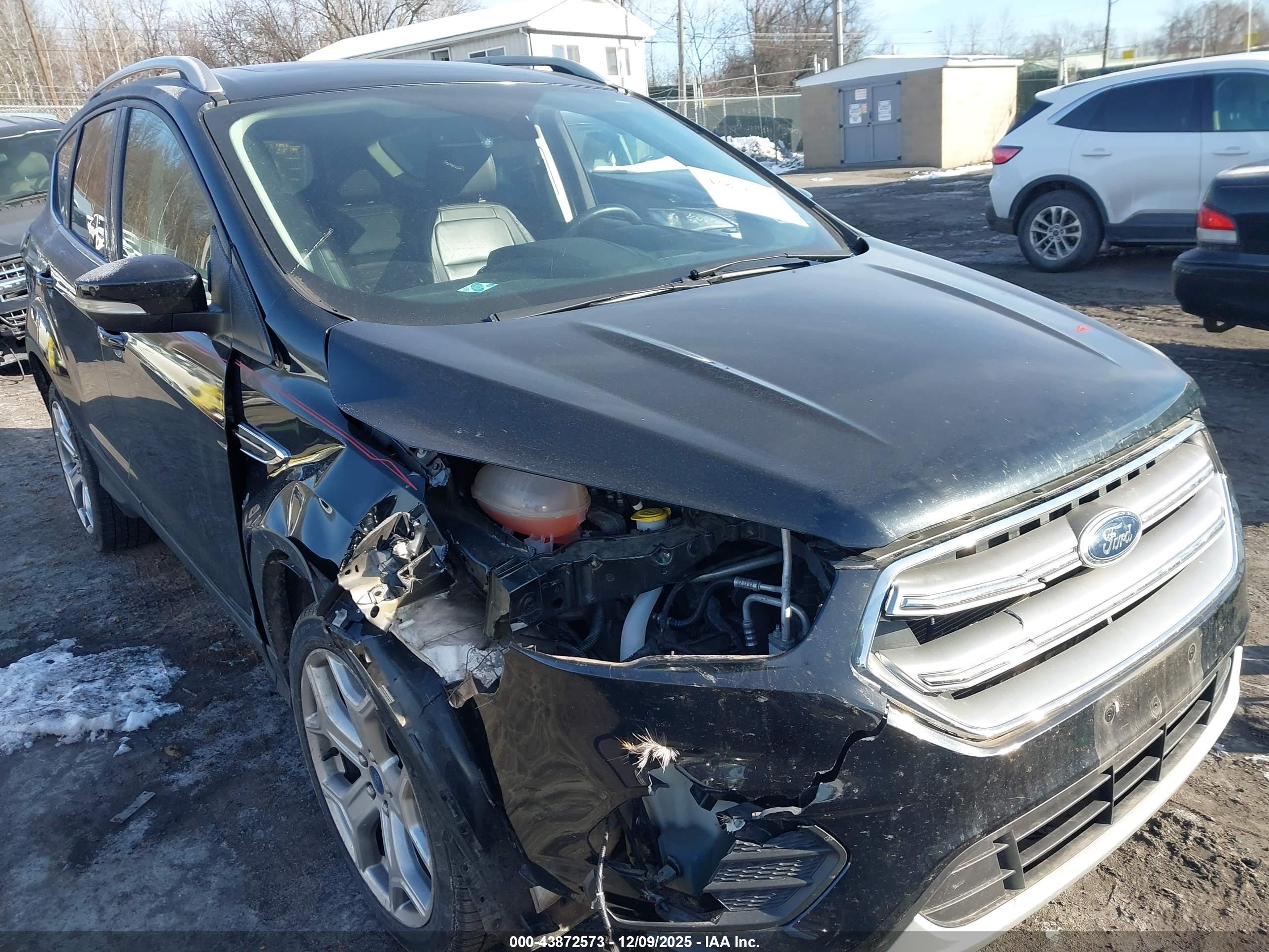 FORD ESCAPE image 6
