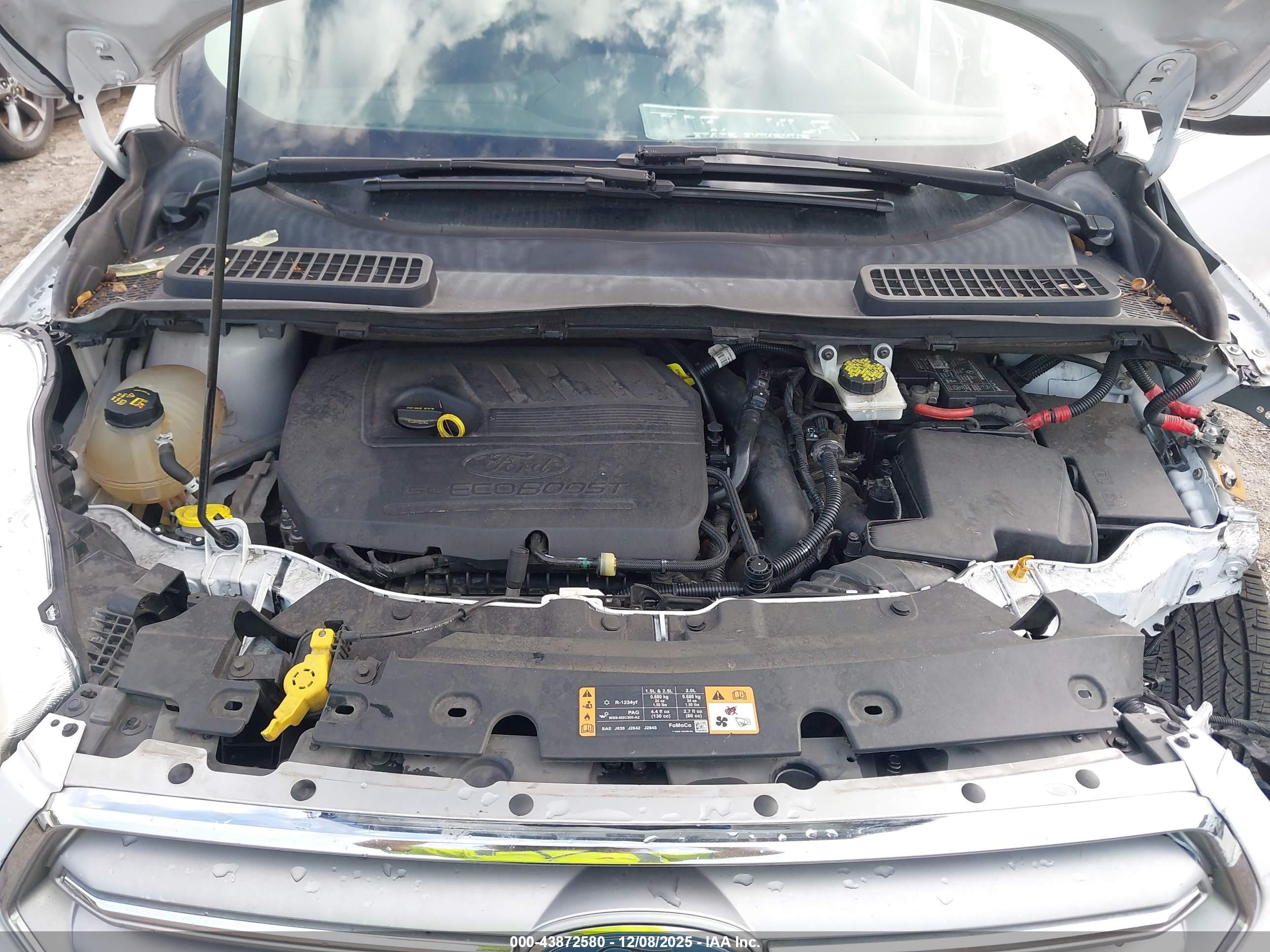 FORD ESCAPE image 10