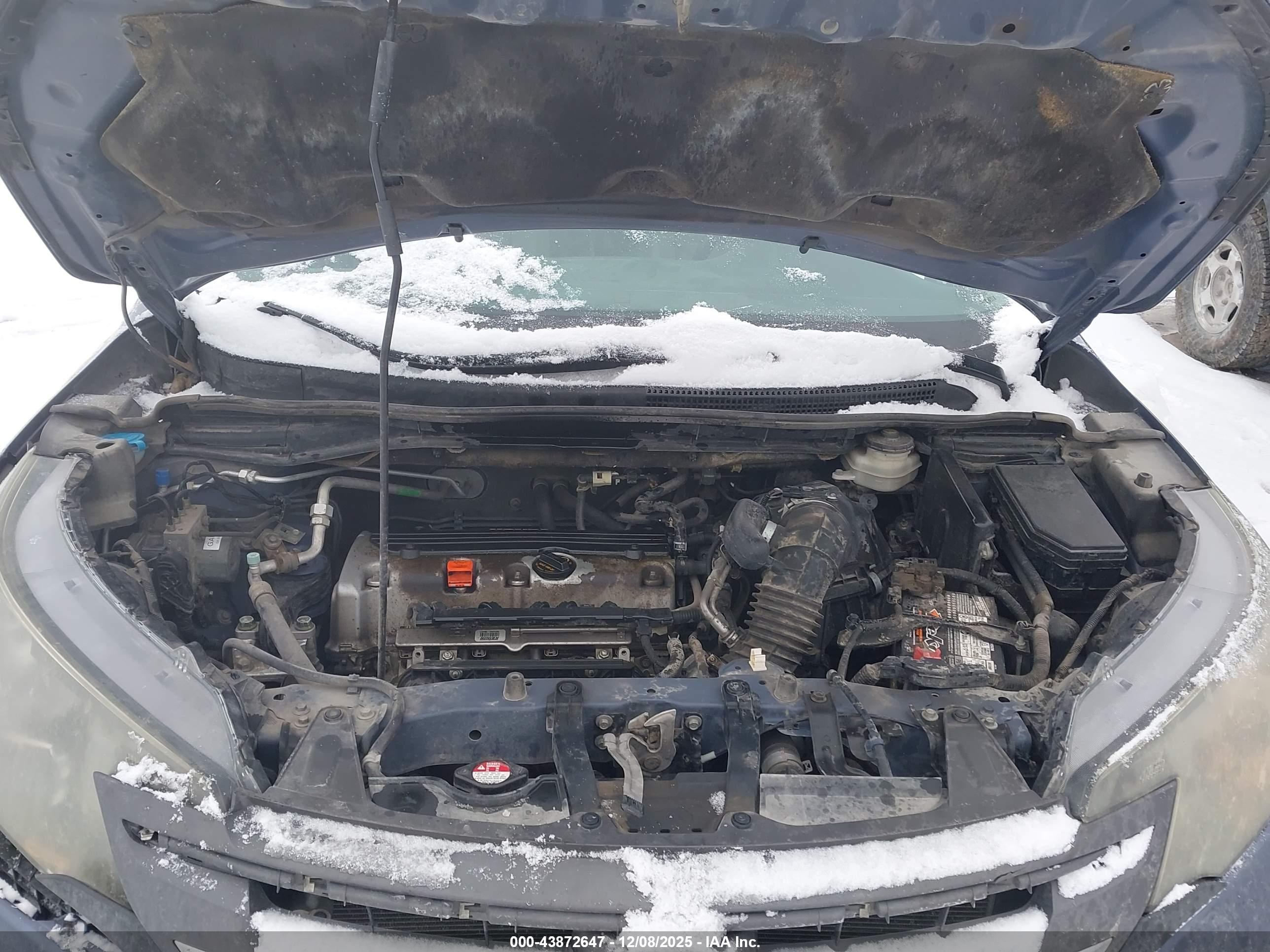 HONDA CR-V image 10