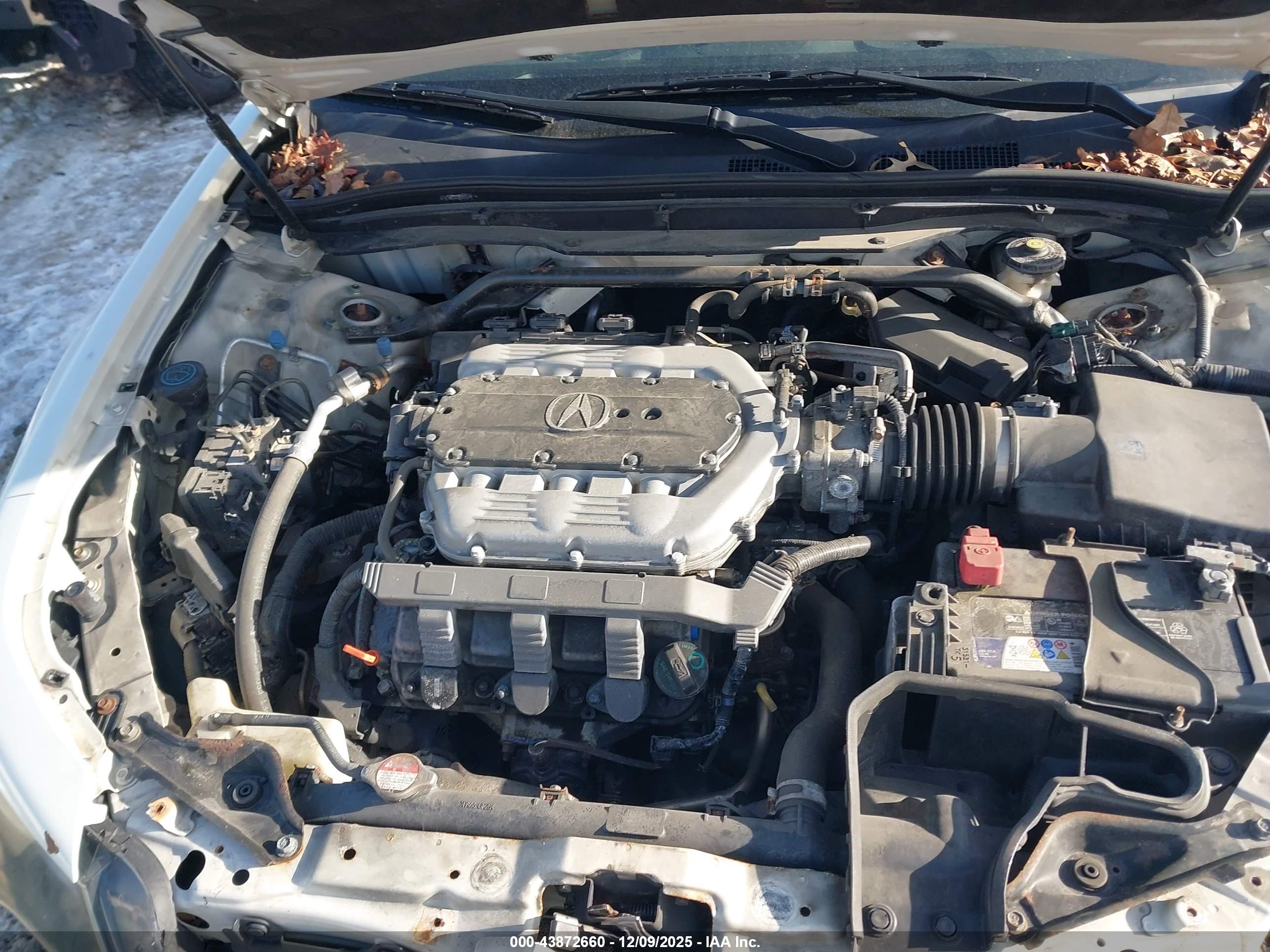 ACURA TL image 10