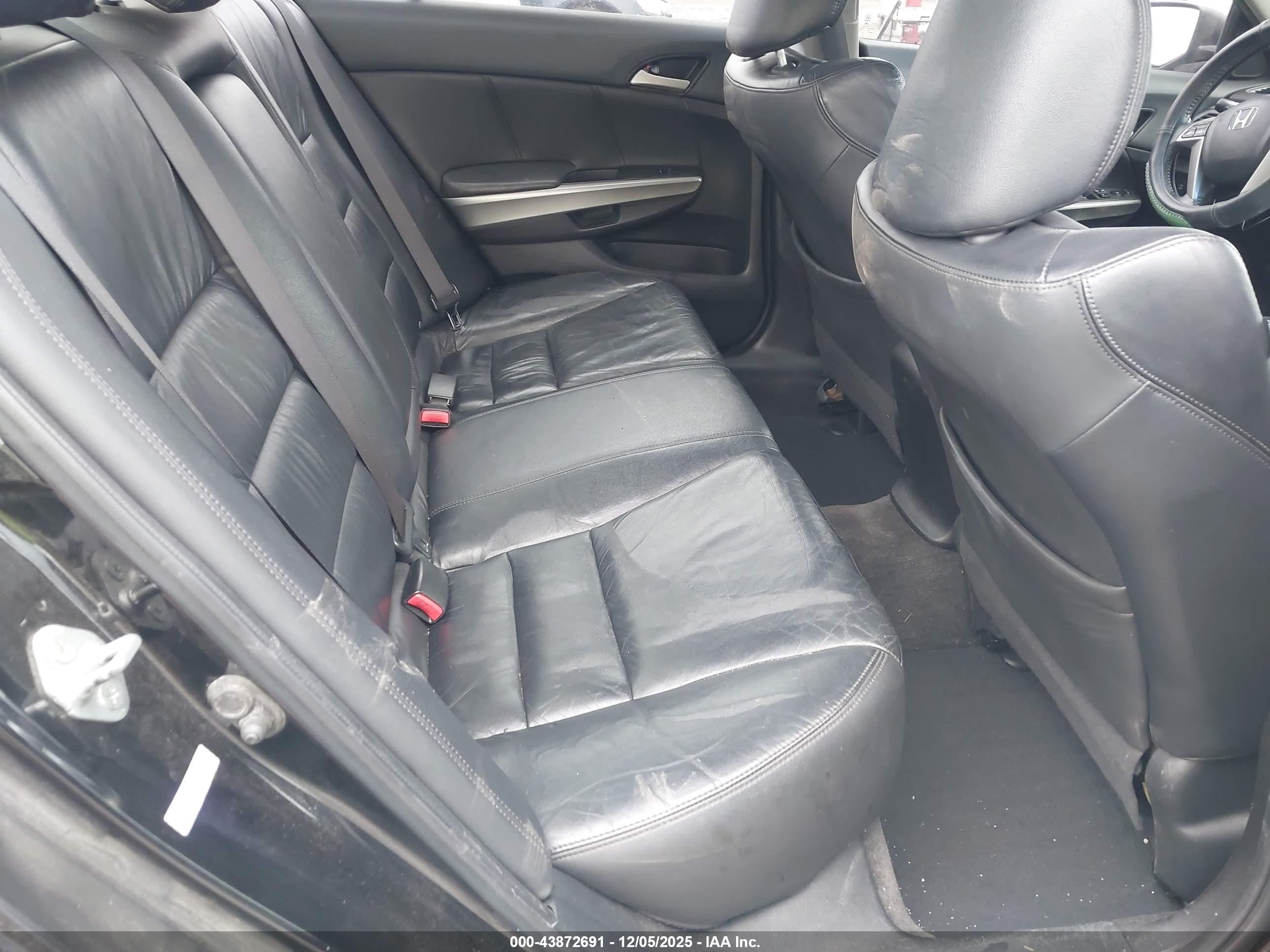 HONDA ACCORD image 8