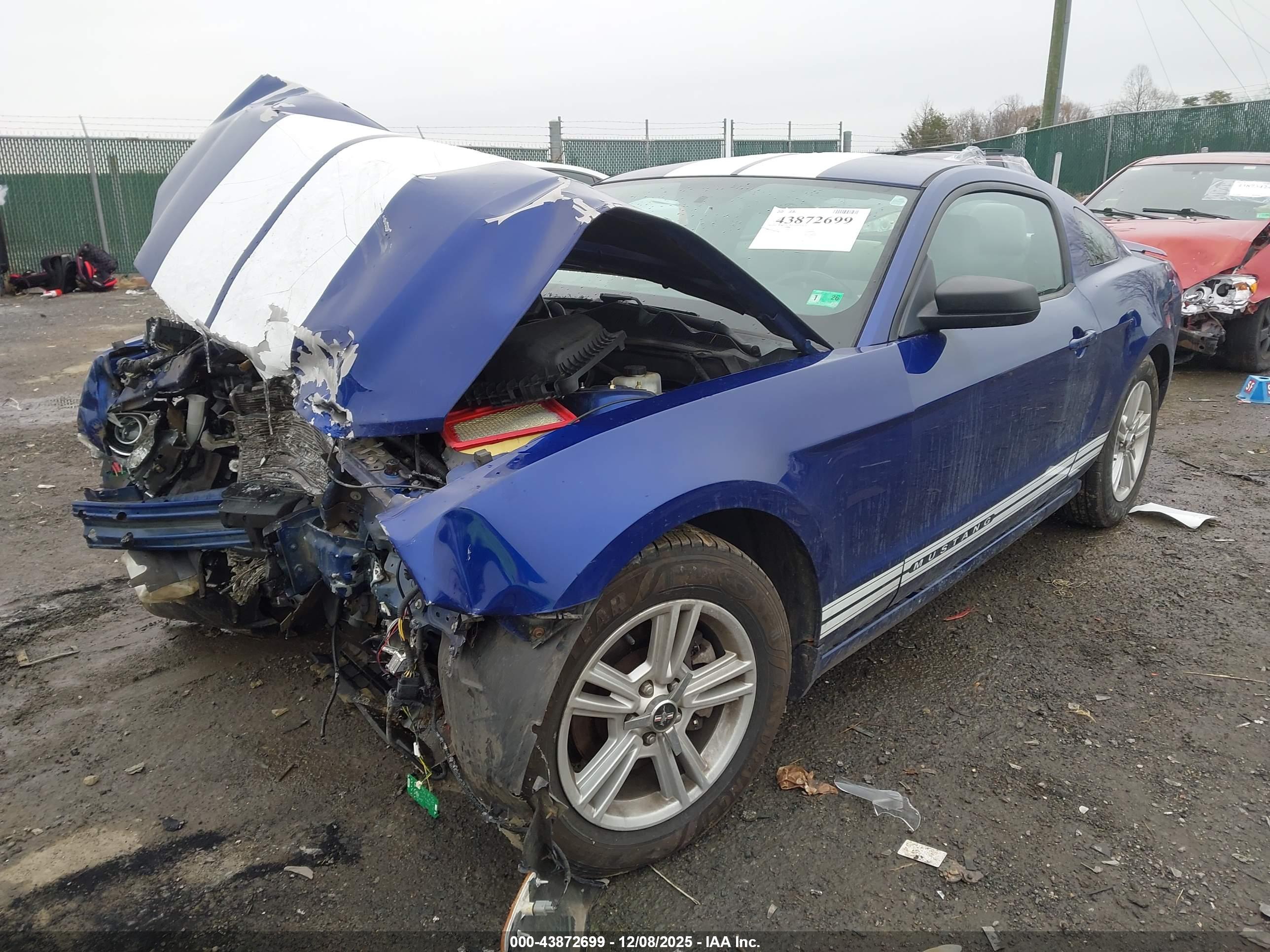 FORD MUSTANG image 2