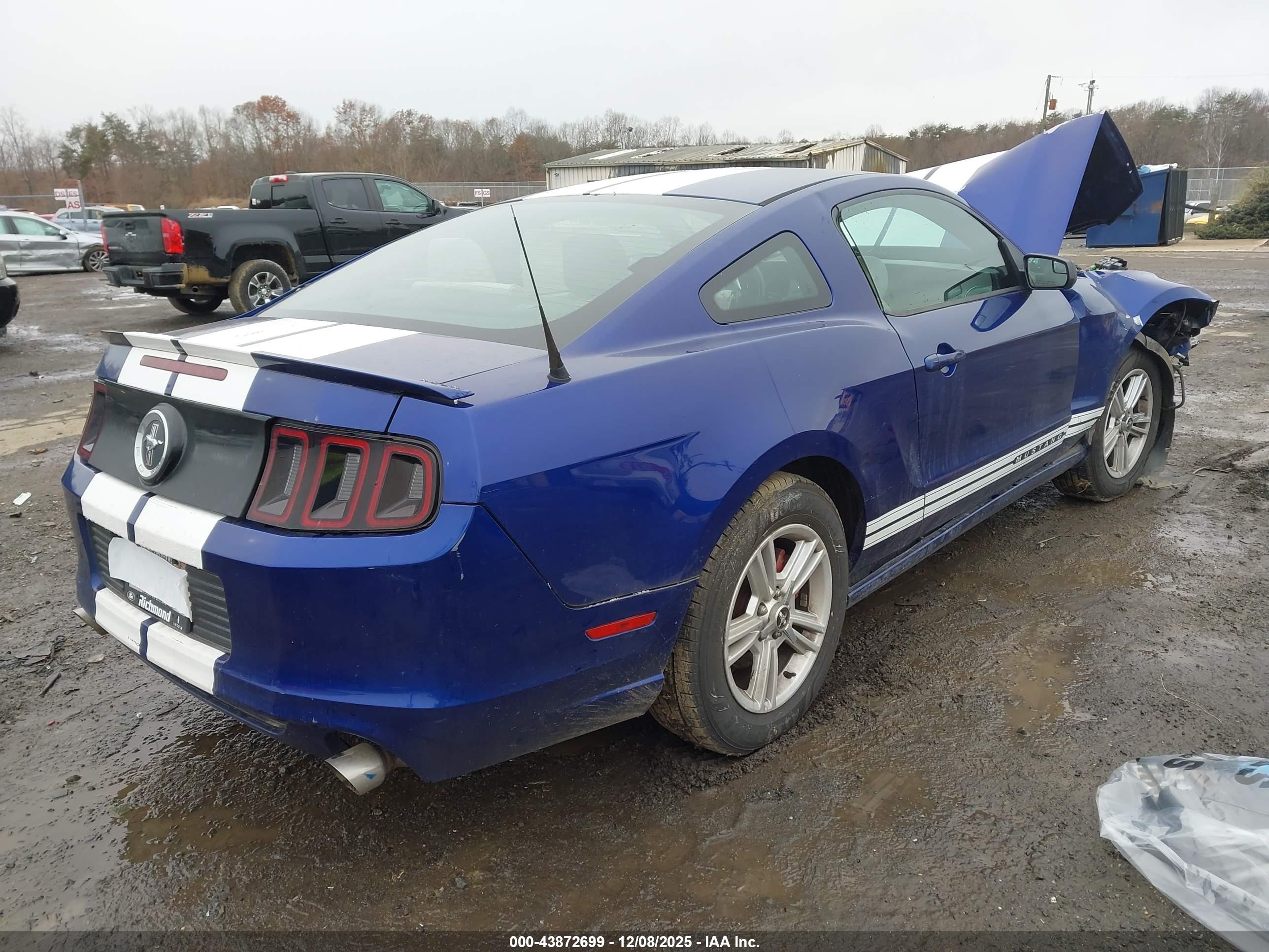 FORD MUSTANG image 4