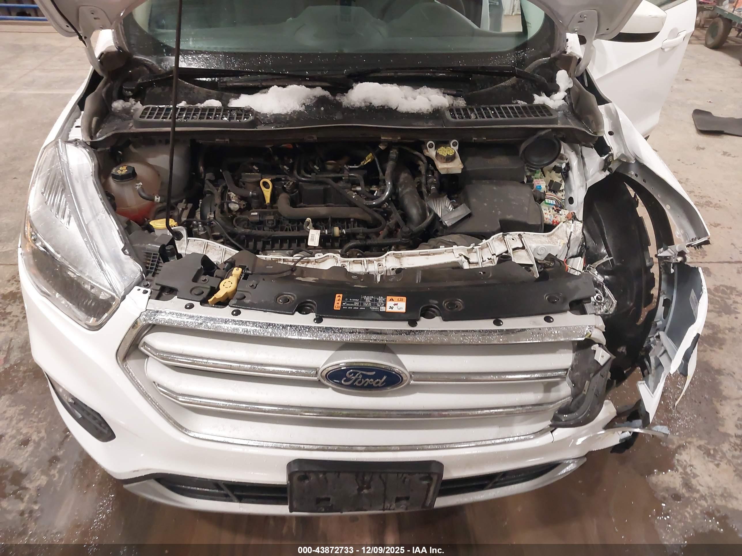 FORD ESCAPE image 10
