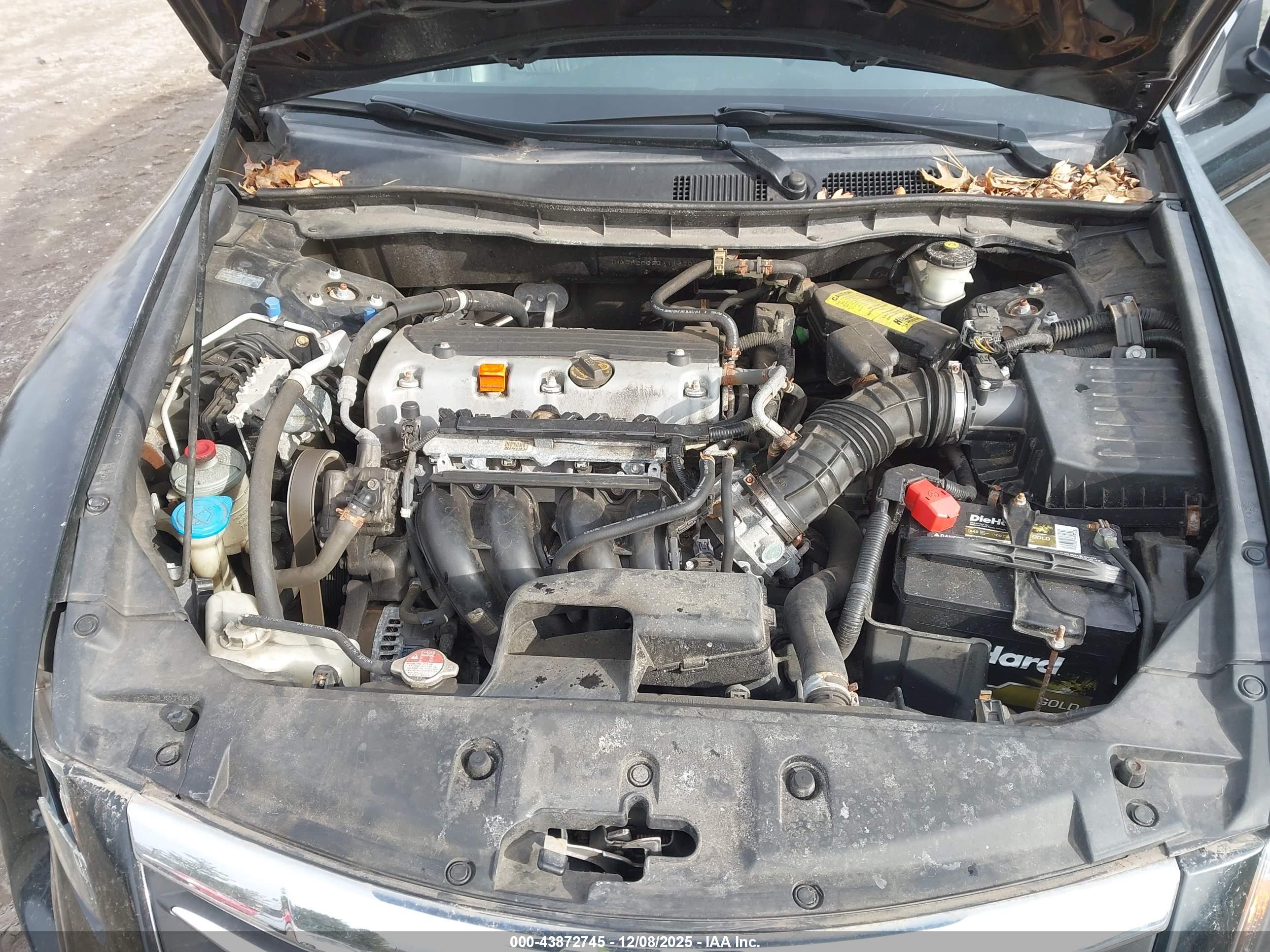 HONDA ACCORD image 10