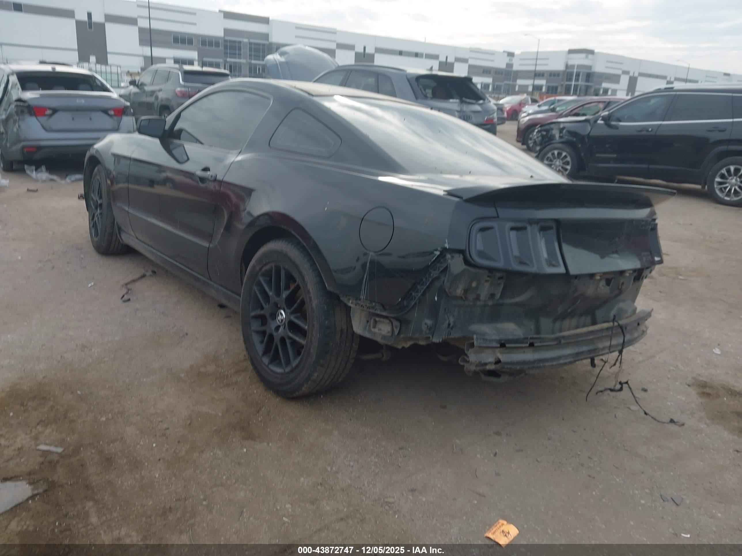 FORD MUSTANG image 3