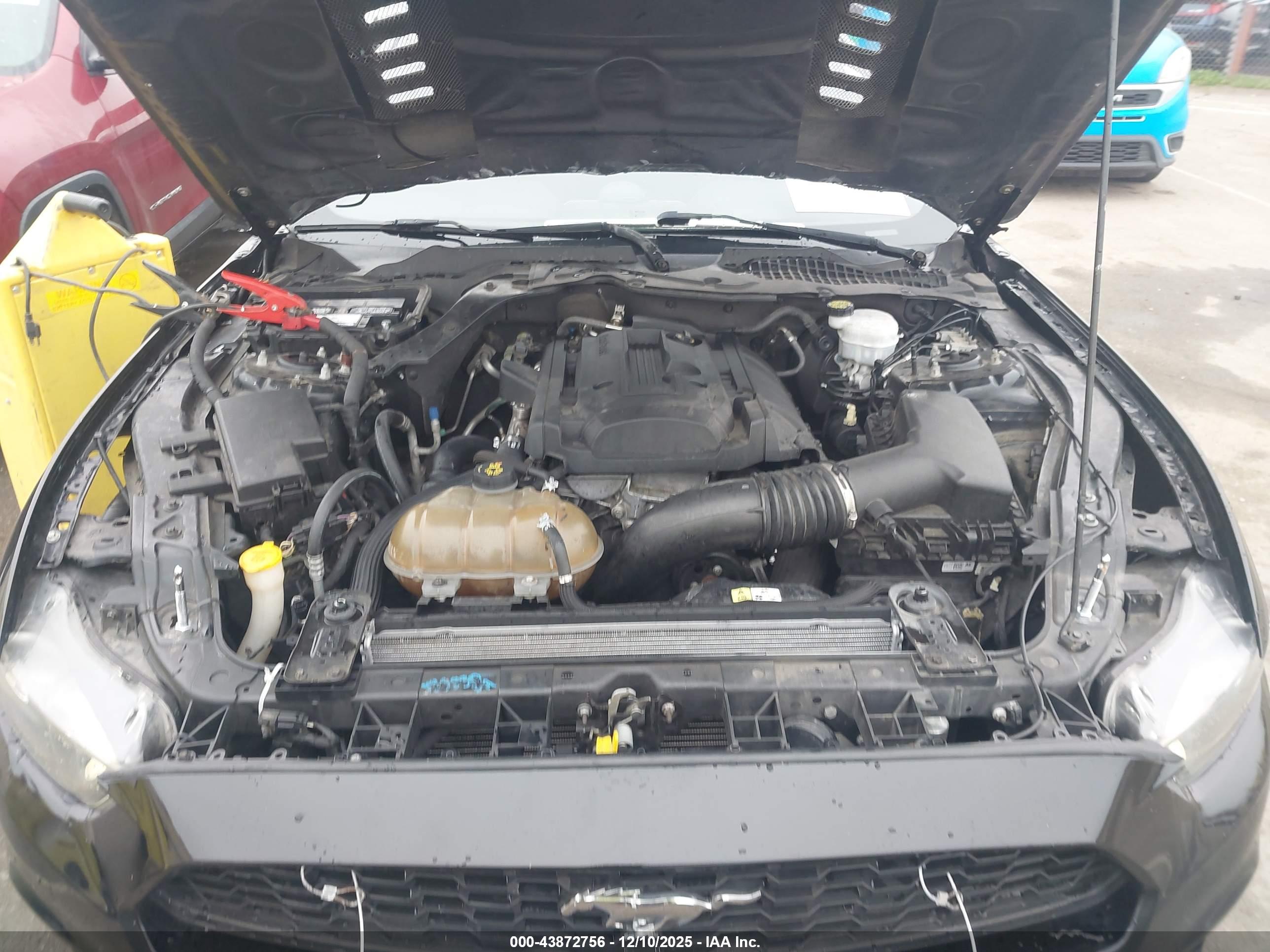 FORD MUSTANG image 10