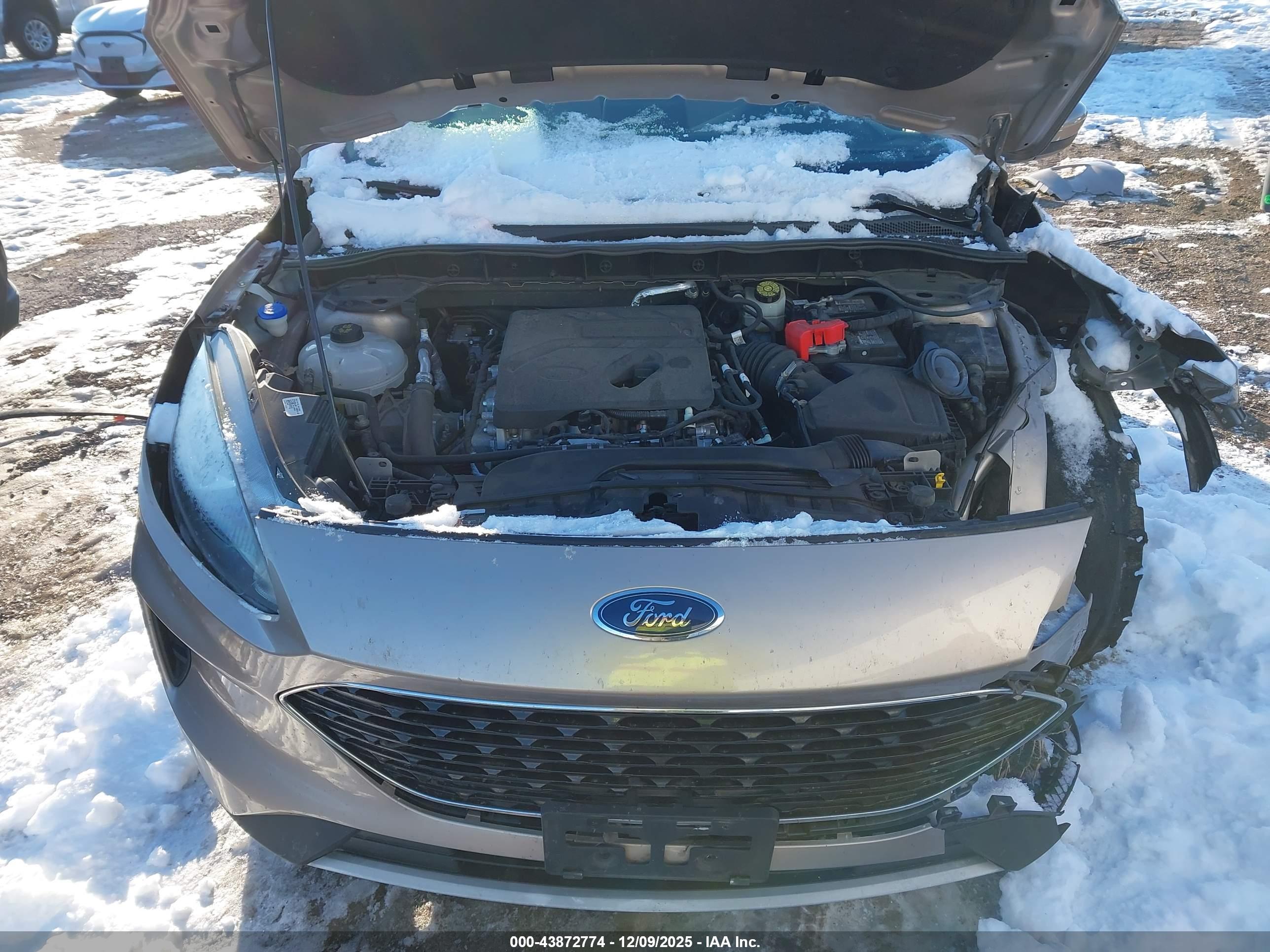 FORD ESCAPE image 10