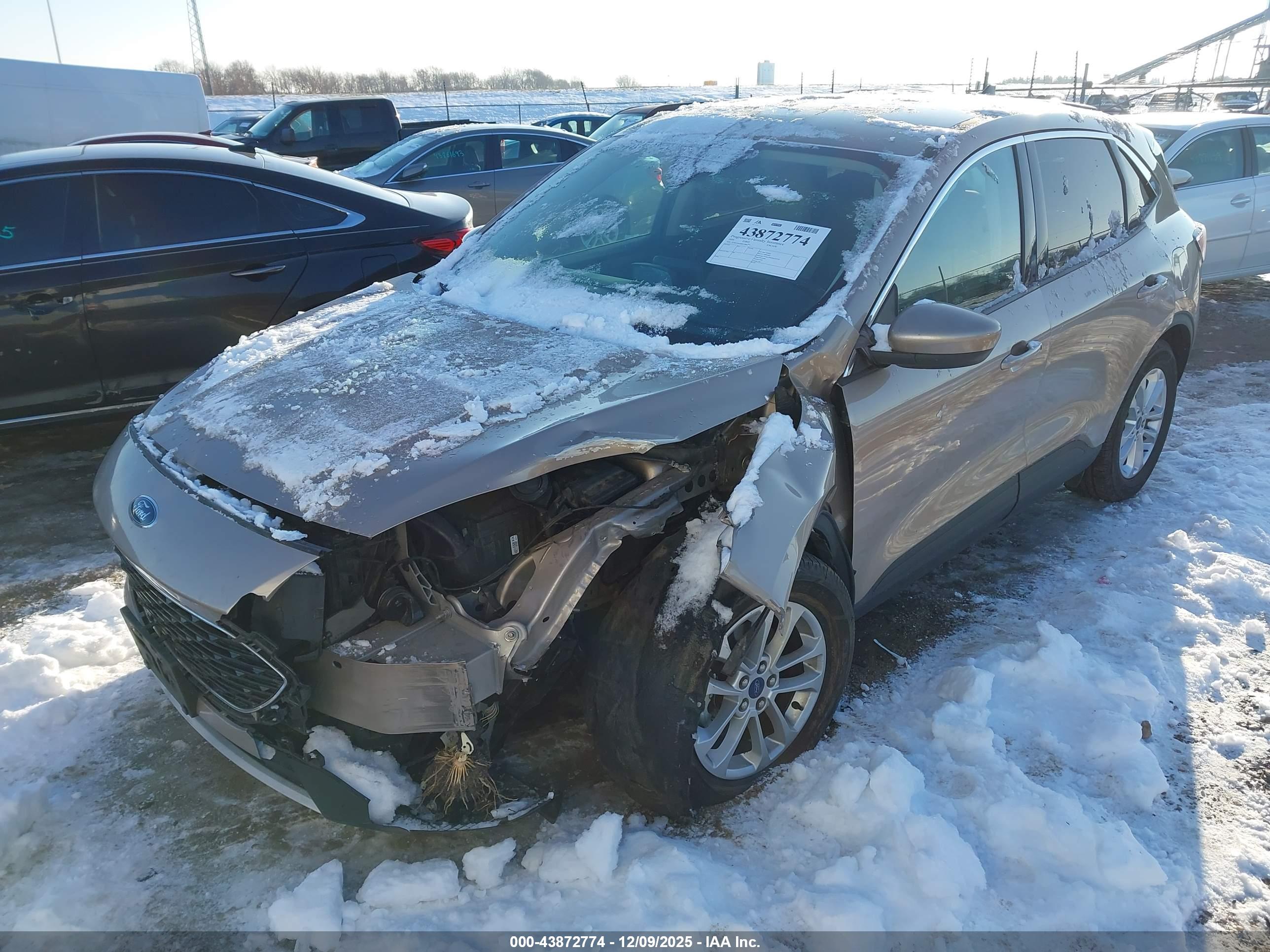 FORD ESCAPE image 2