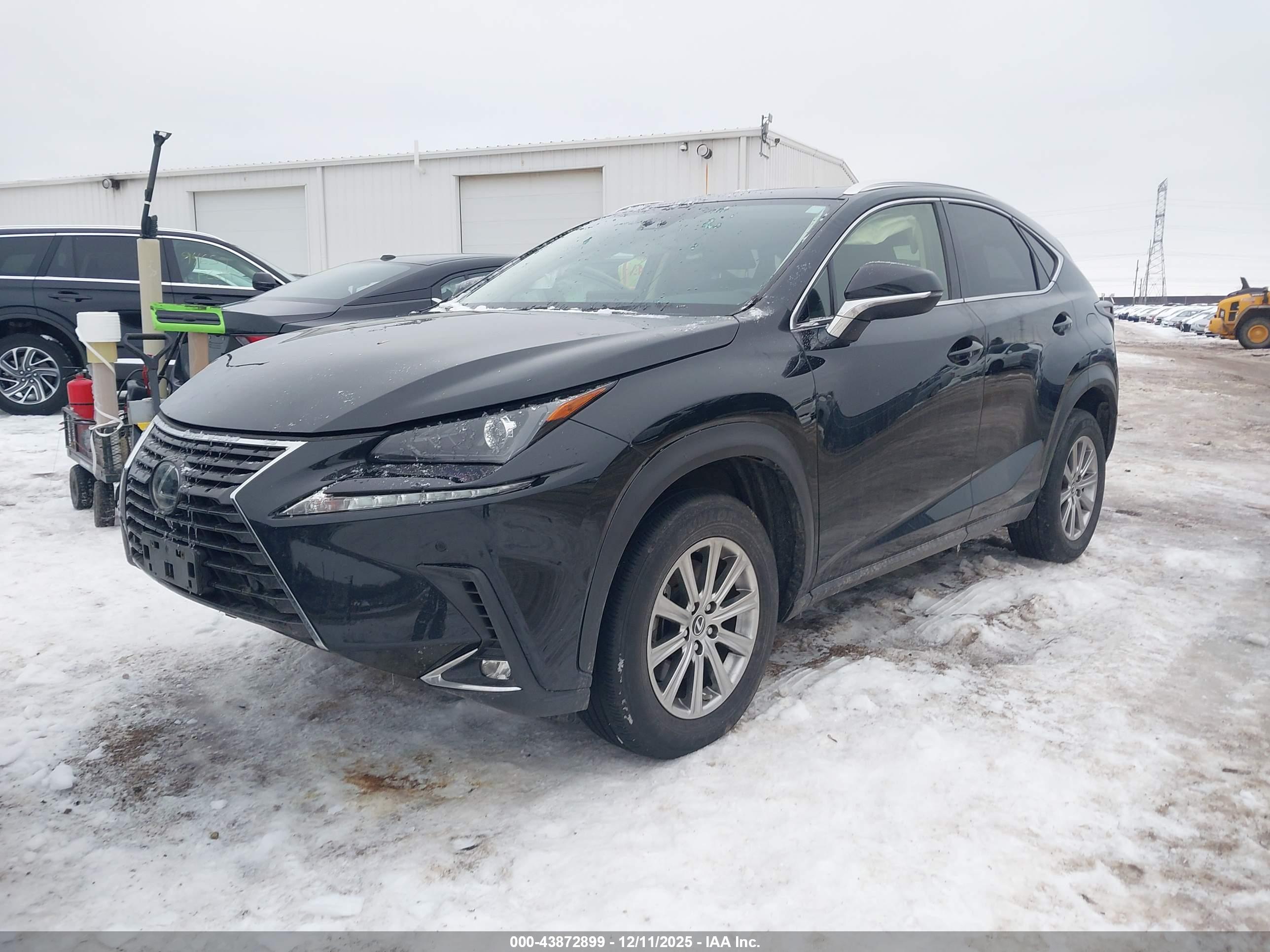 LEXUS NX image 2