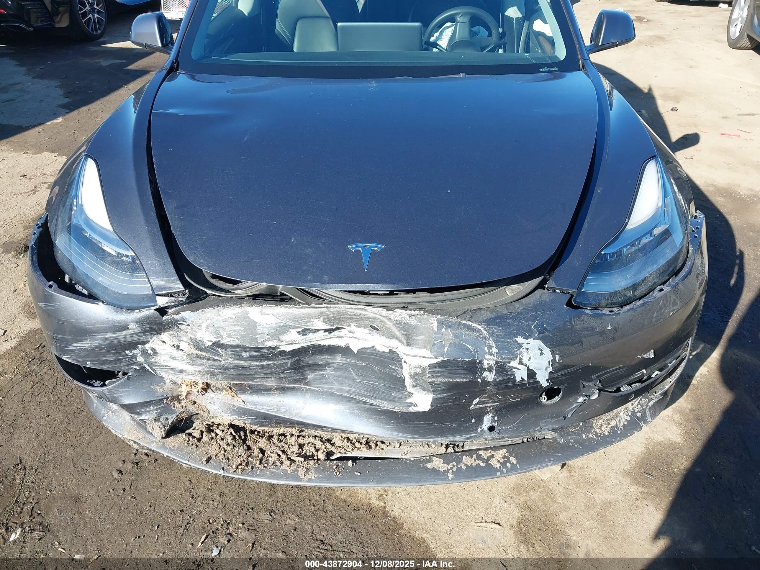 TESLA MODEL image 6