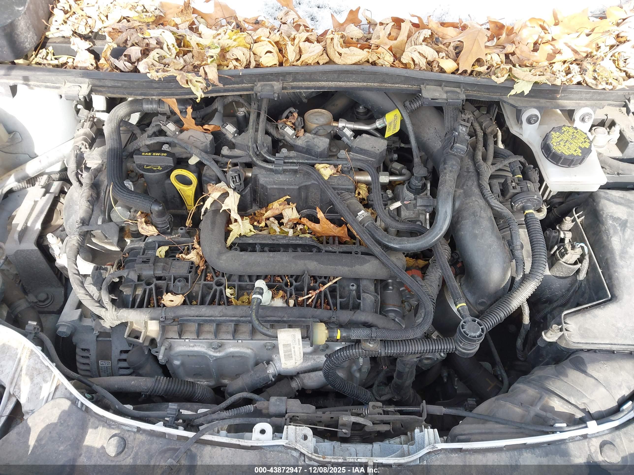 FORD ESCAPE image 10