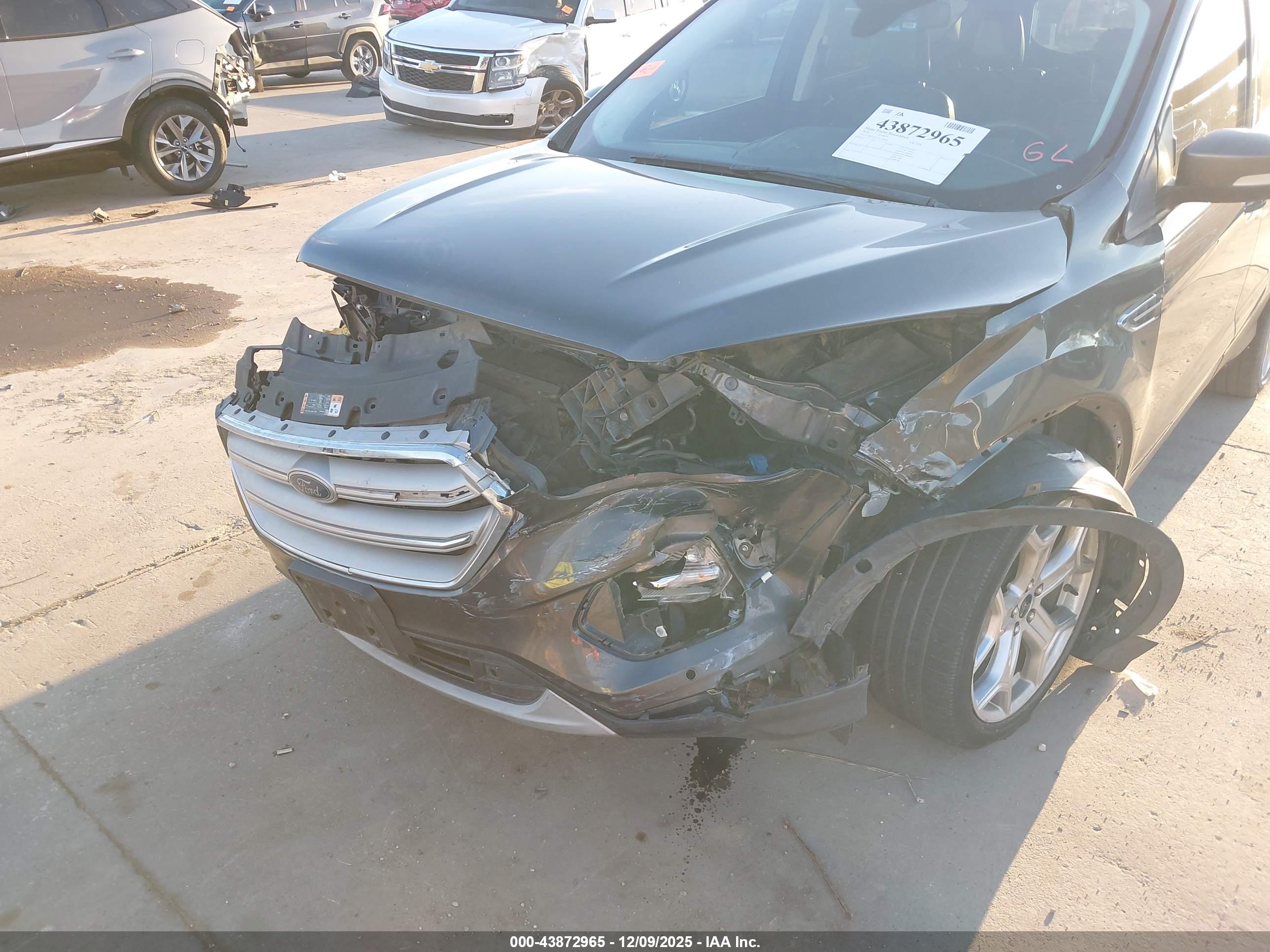 FORD ESCAPE image 6