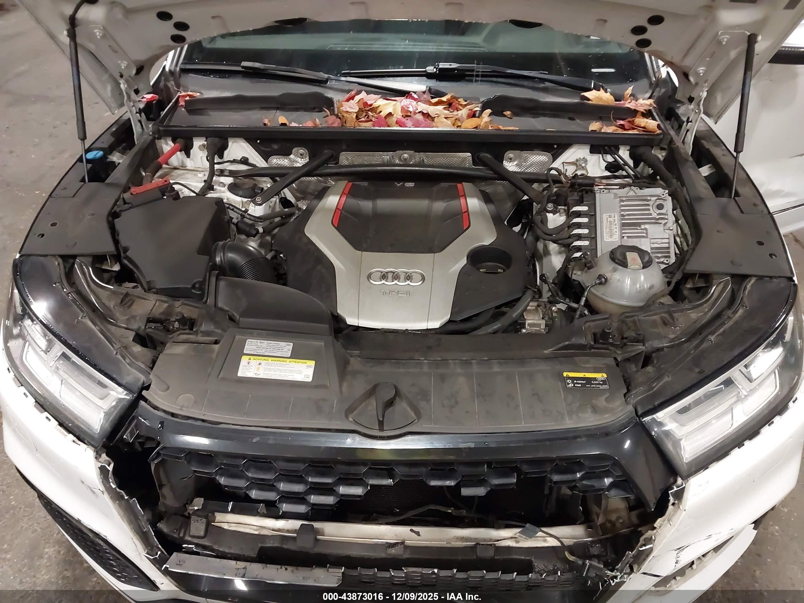 AUDI SQ5 image 10