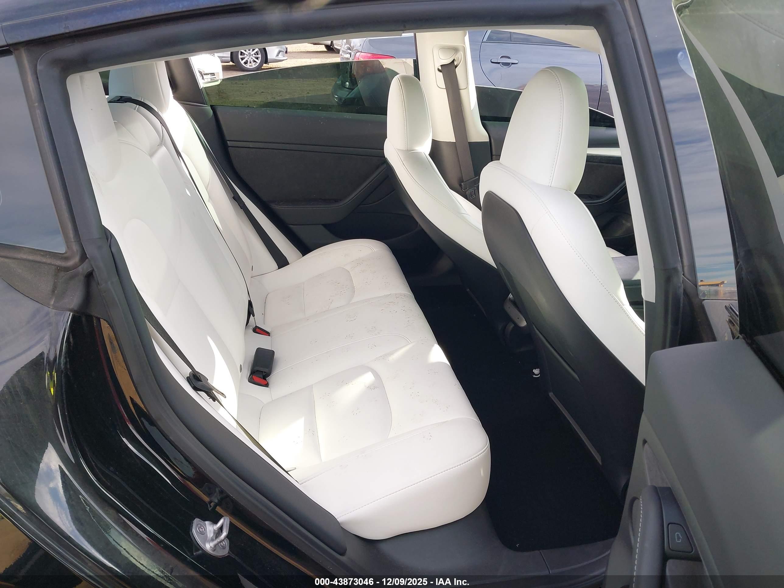 TESLA MODEL image 8