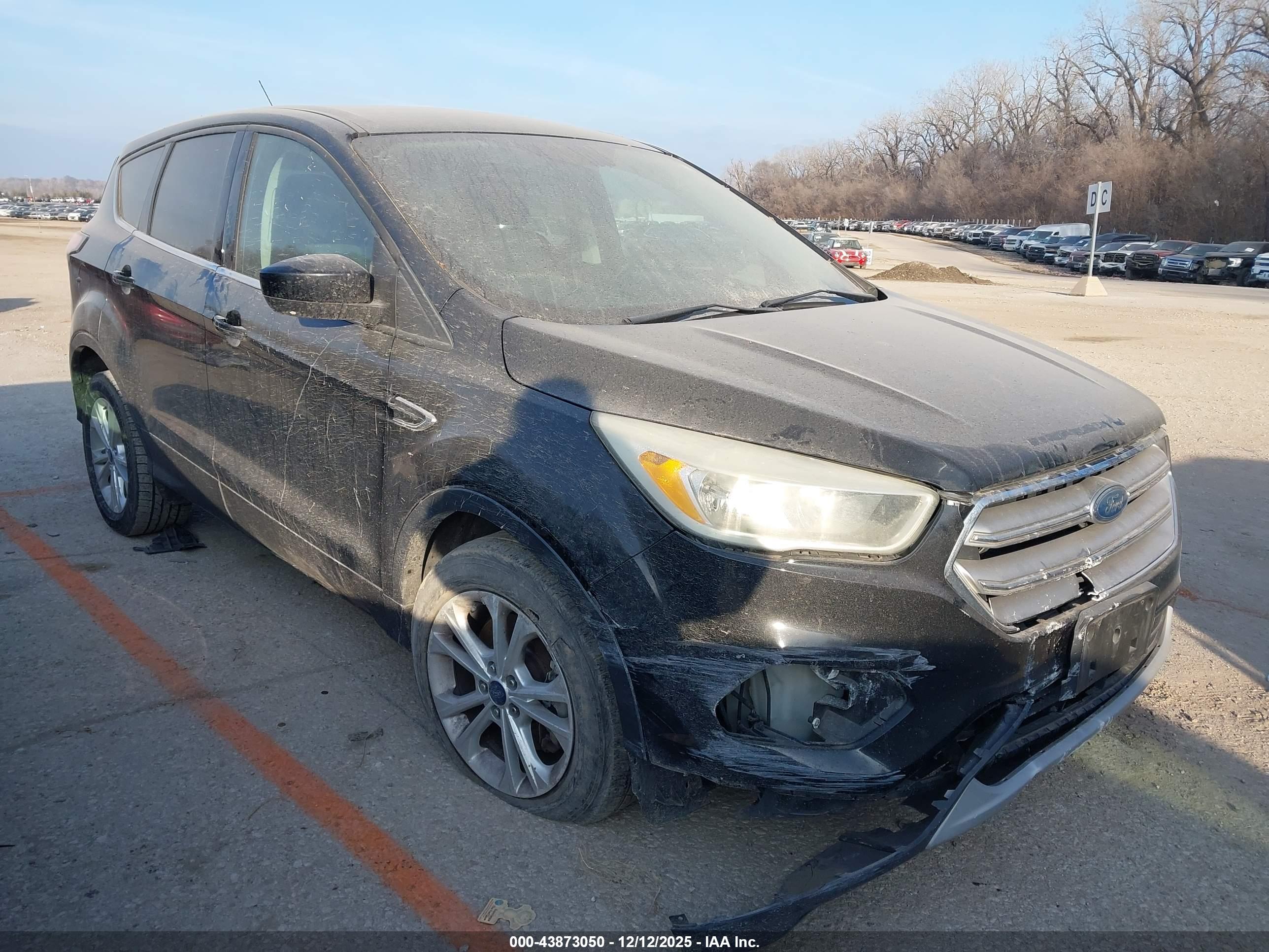 FORD ESCAPE image 2