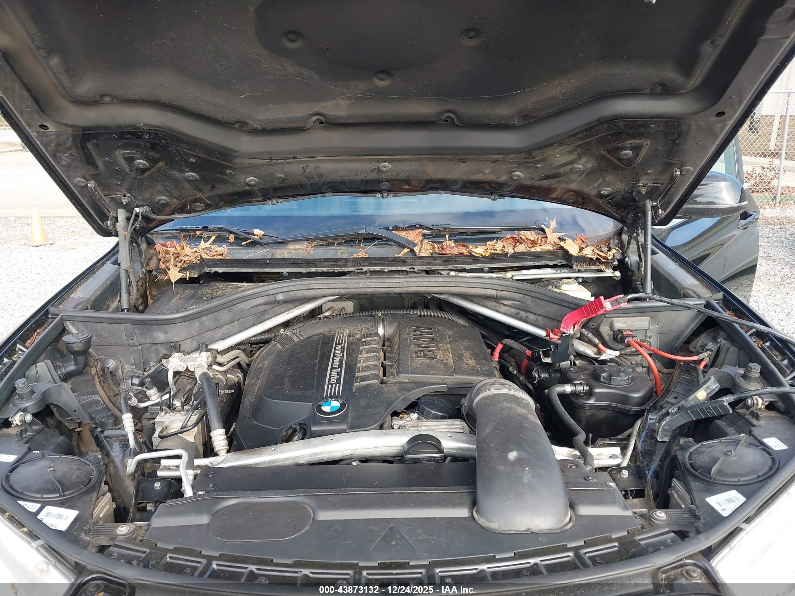 BMW X5 image 10