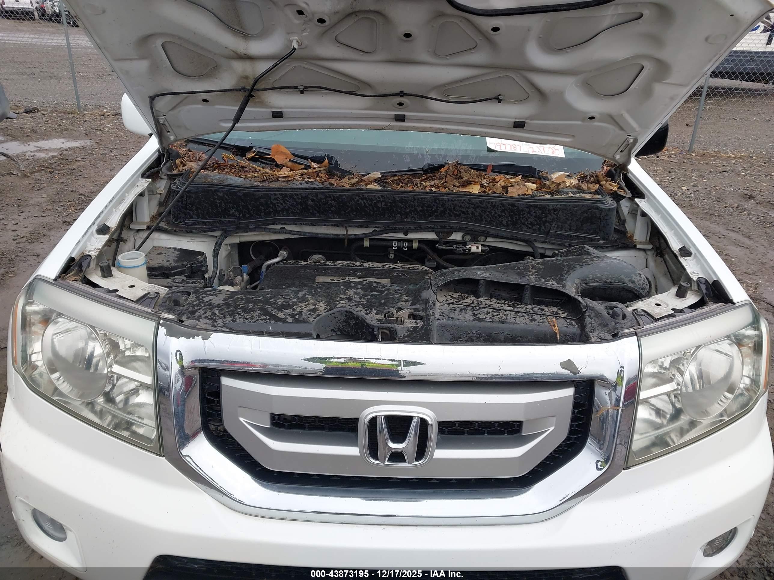 HONDA PILOT image 10