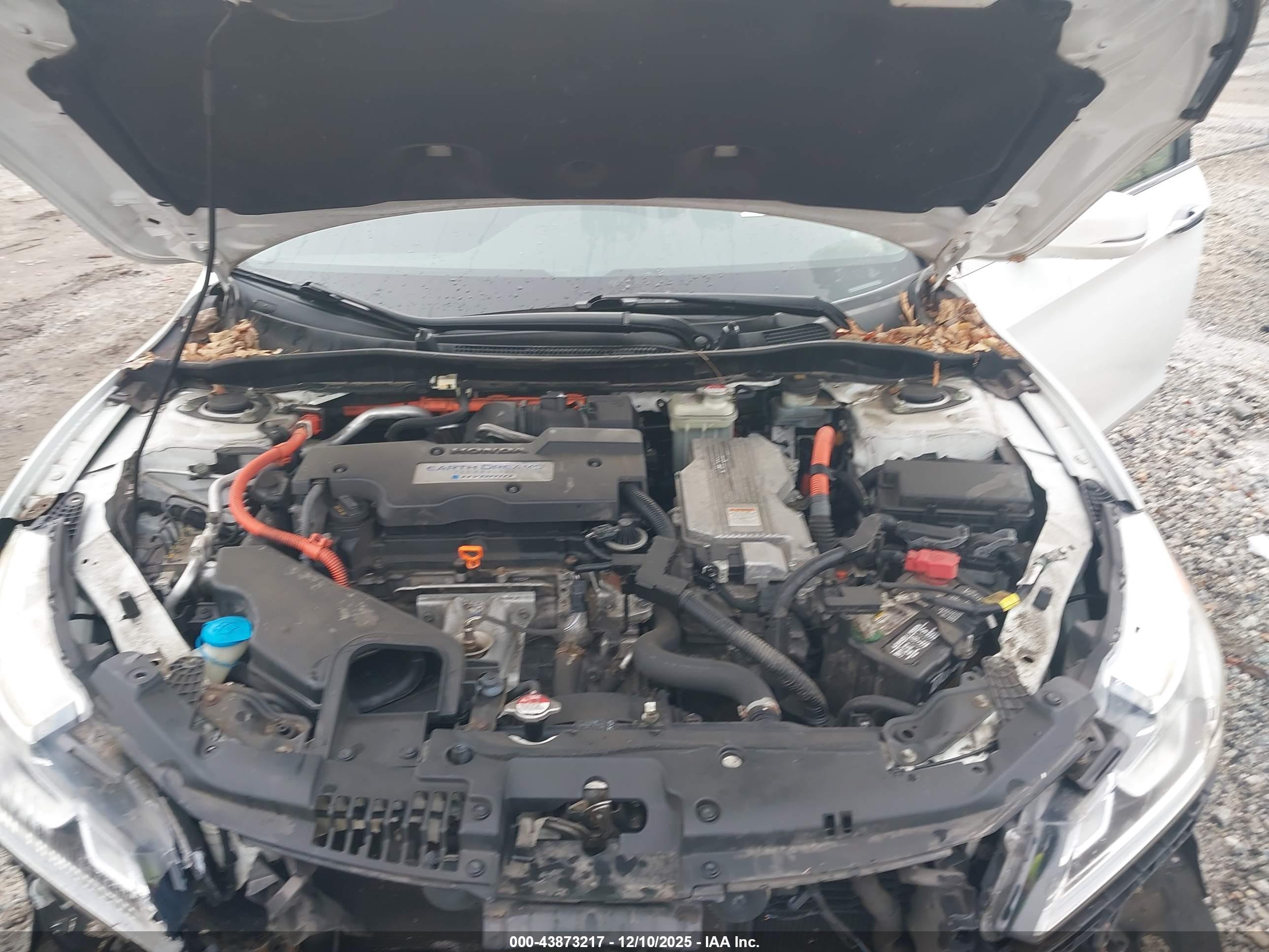 HONDA ACCORD image 10