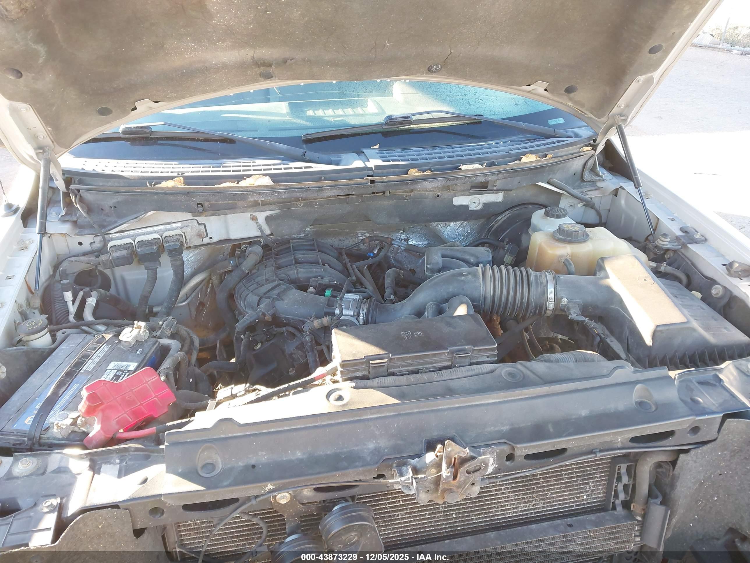 FORD F-150 image 10