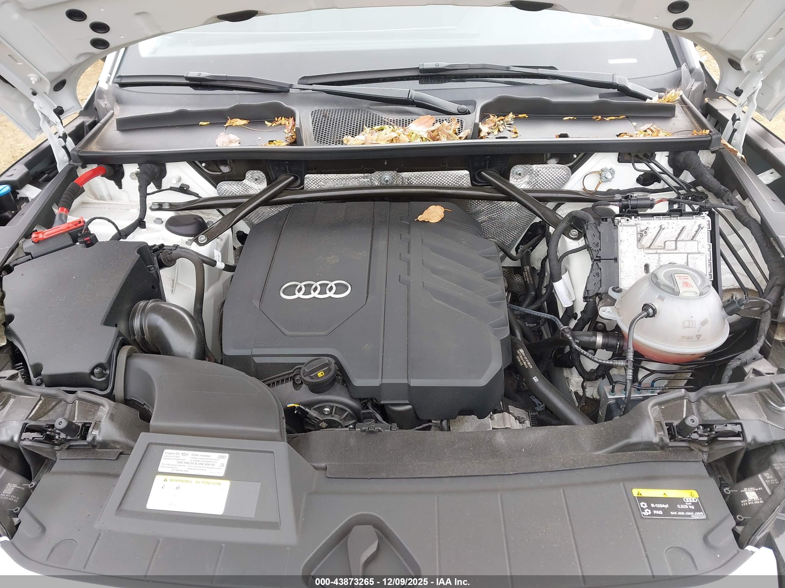 AUDI Q5 image 10