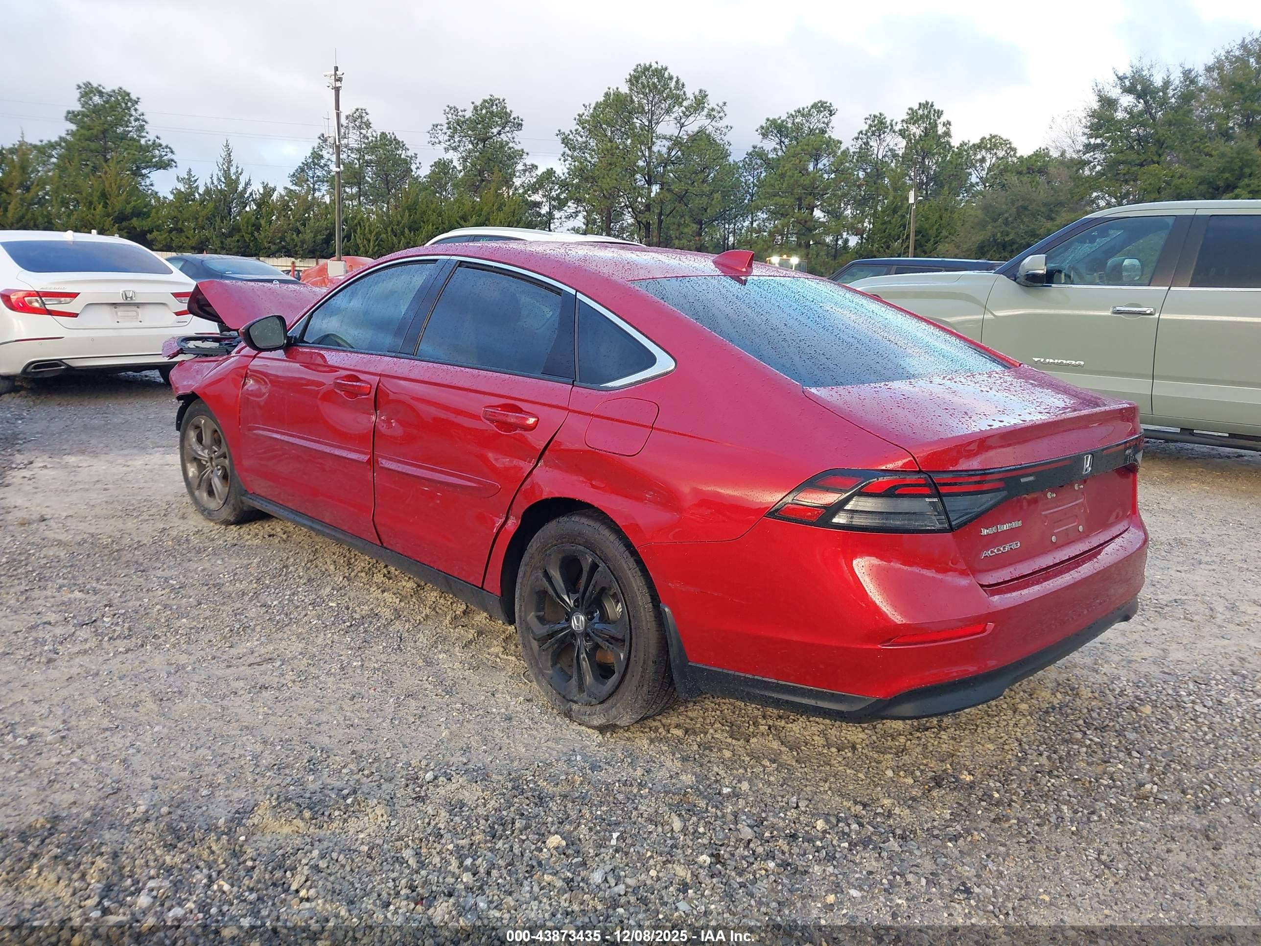 HONDA ACCORD image 3