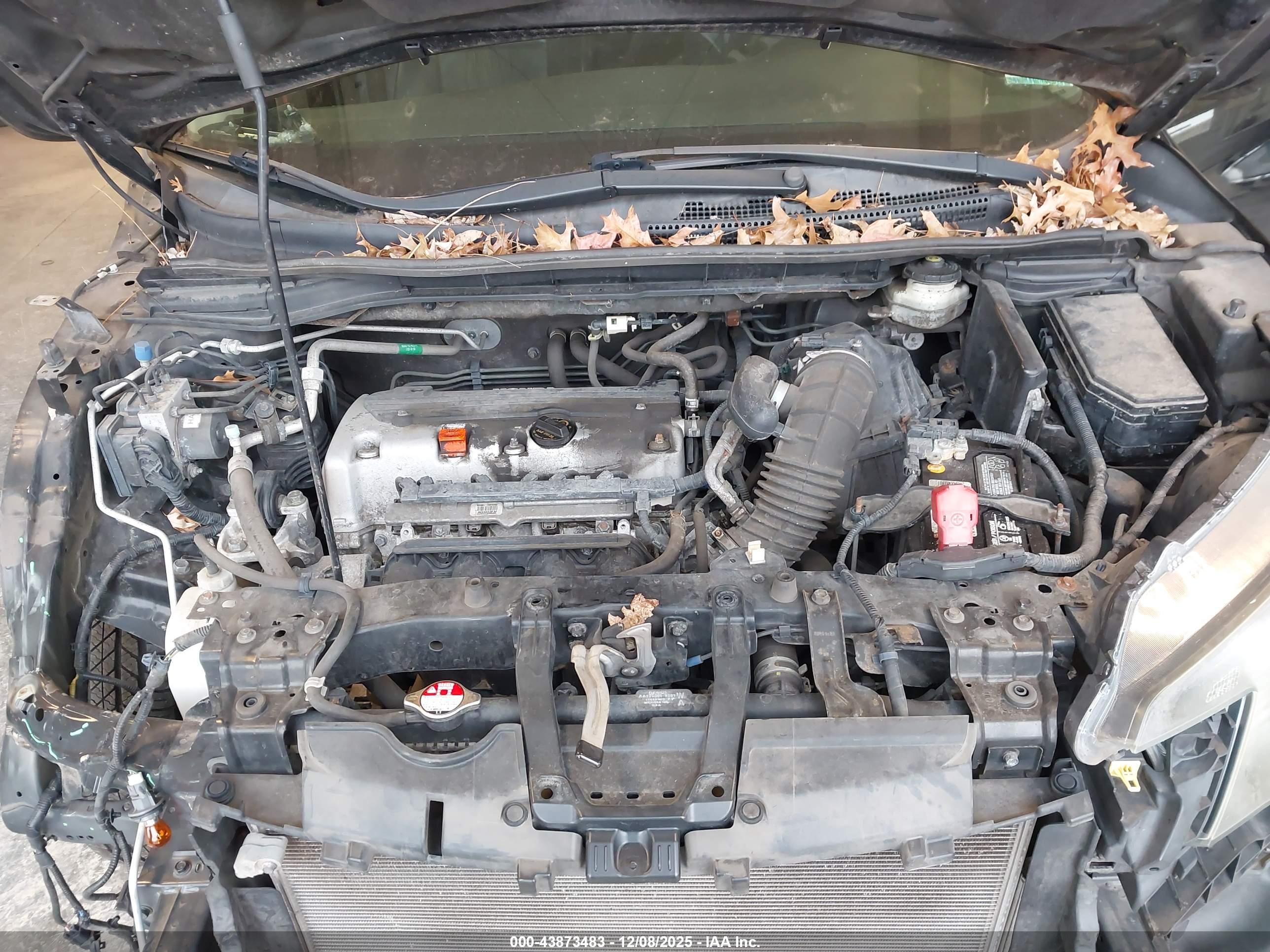 HONDA CR-V image 10