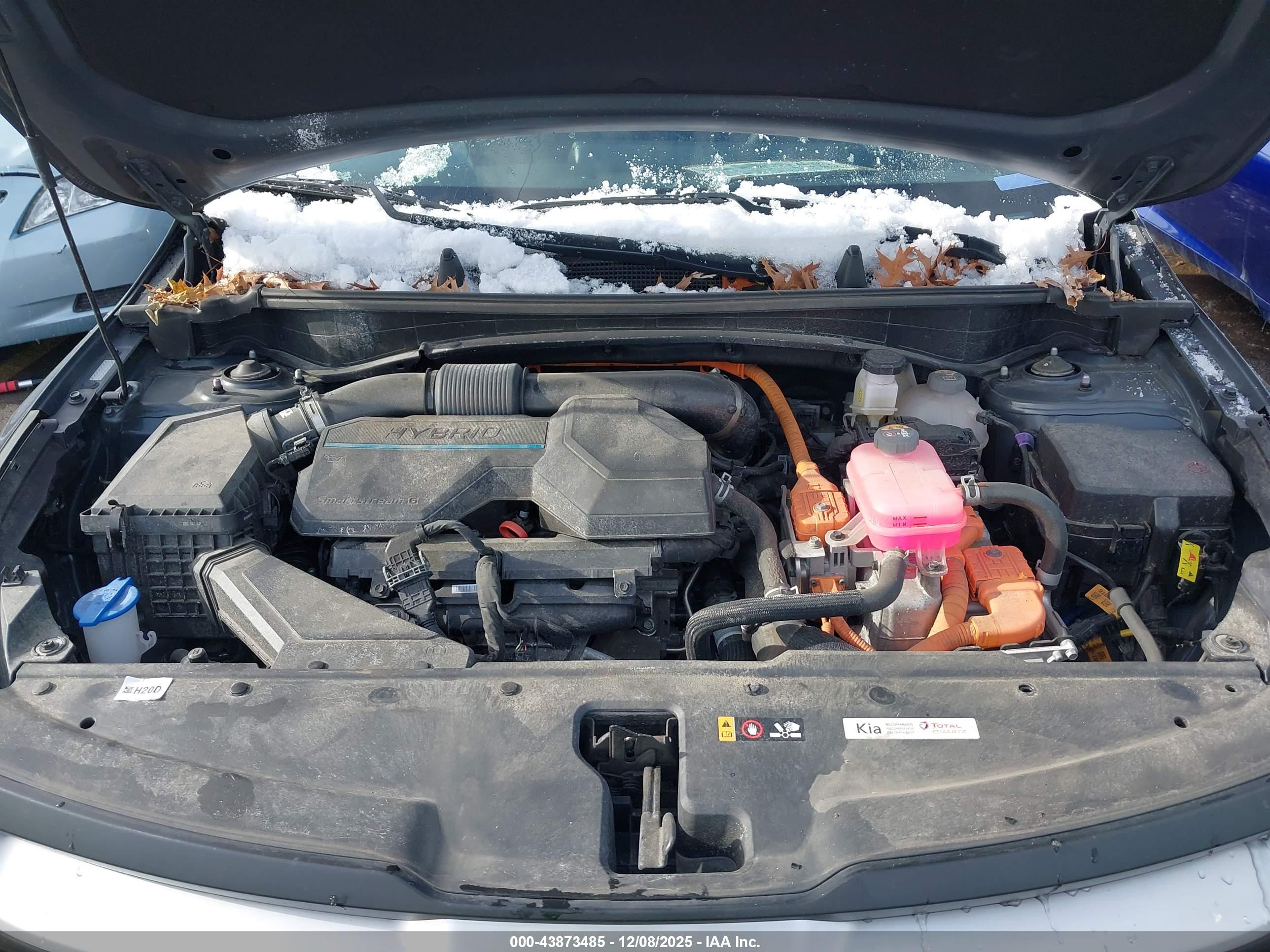 KIA SPORTAGE image 10