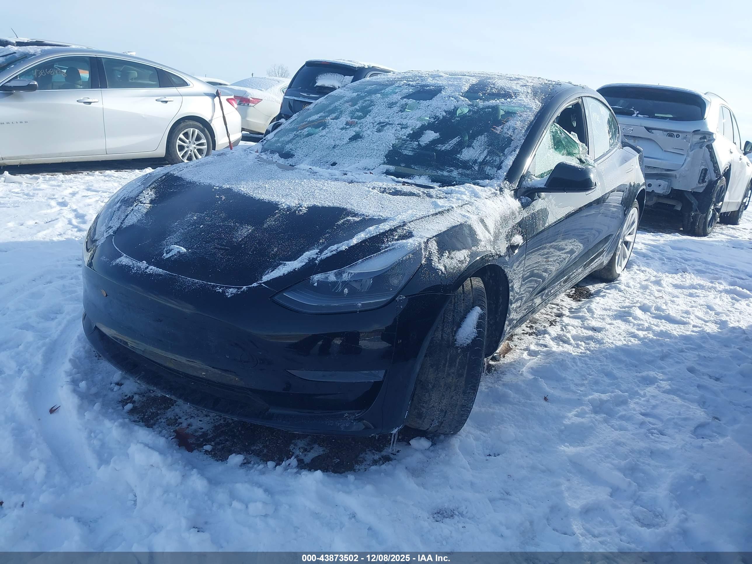 TESLA MODEL image 2