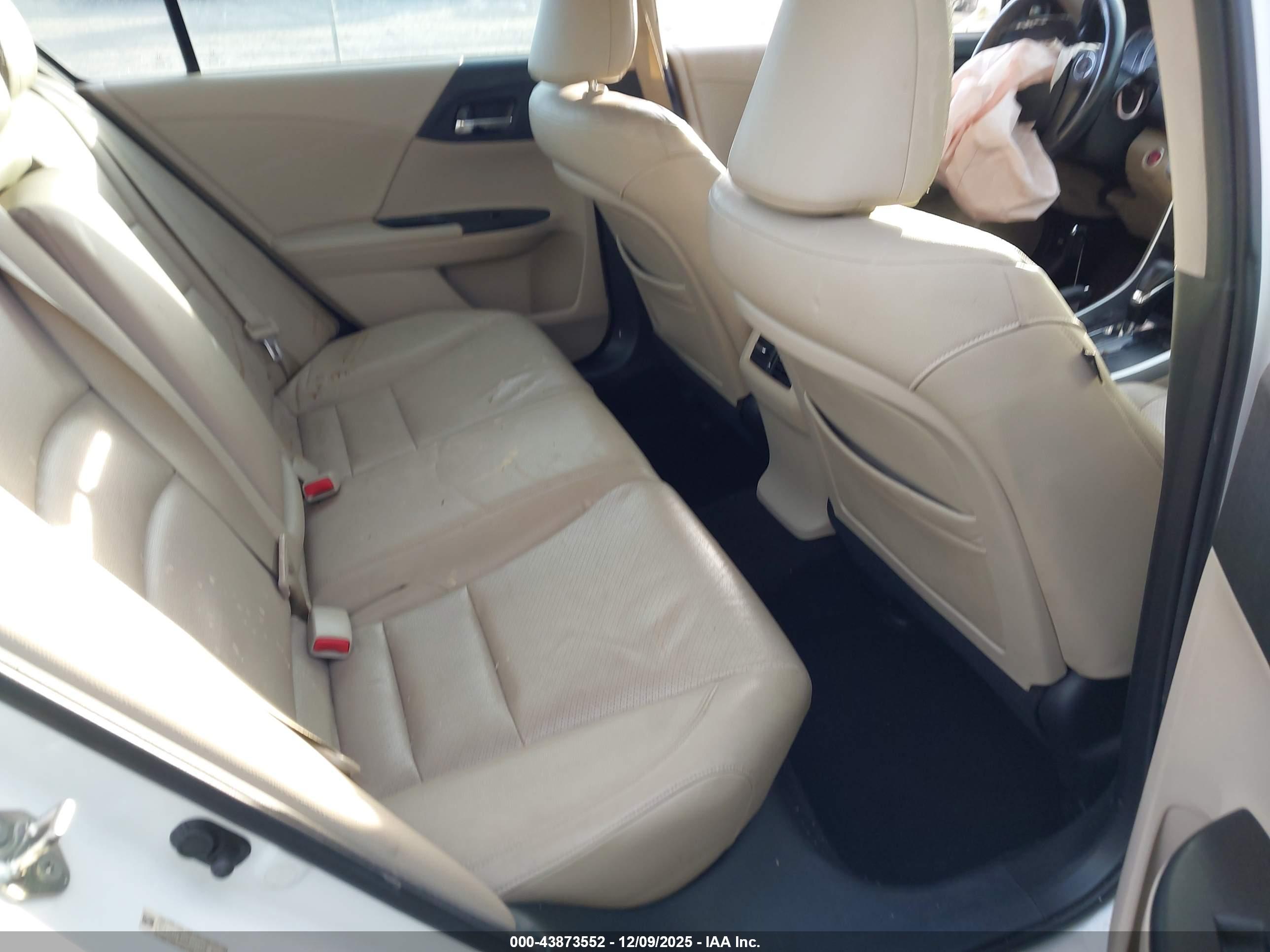 HONDA ACCORD image 8