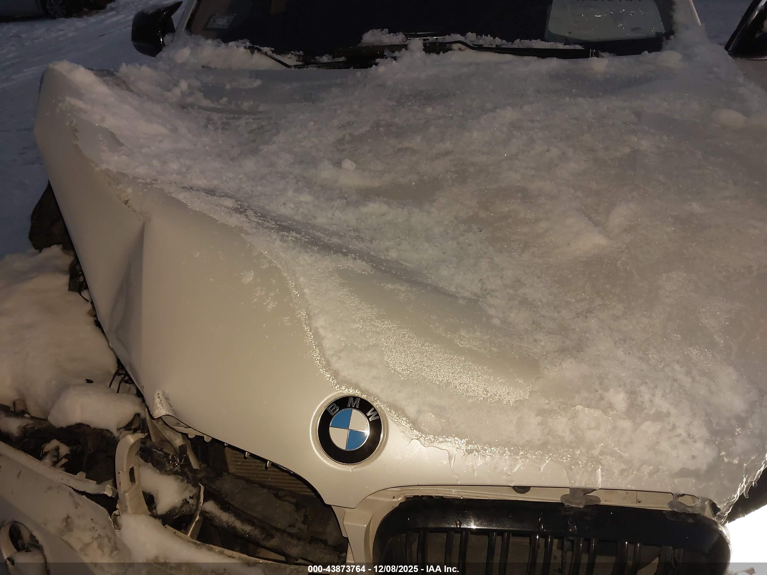 BMW X5 image 10