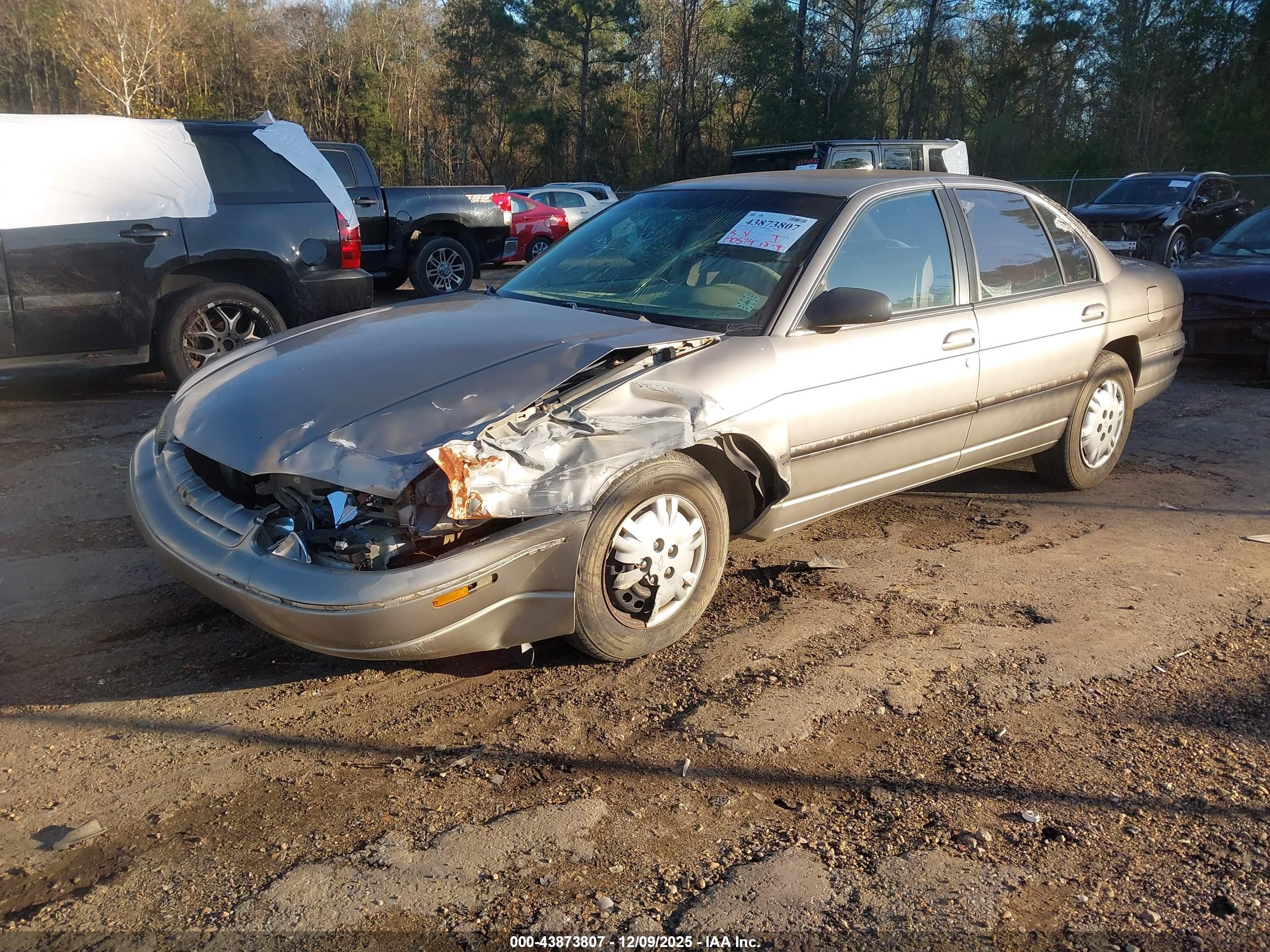 CHEVROLET LUMINA image 2
