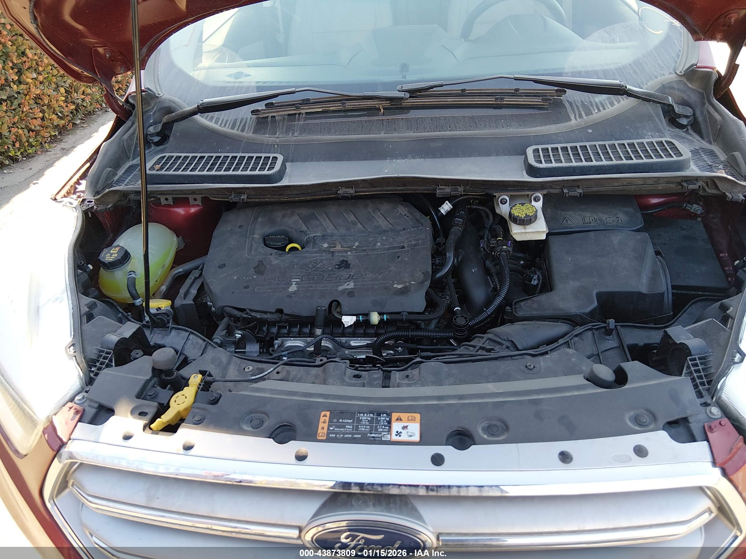FORD ESCAPE image 10