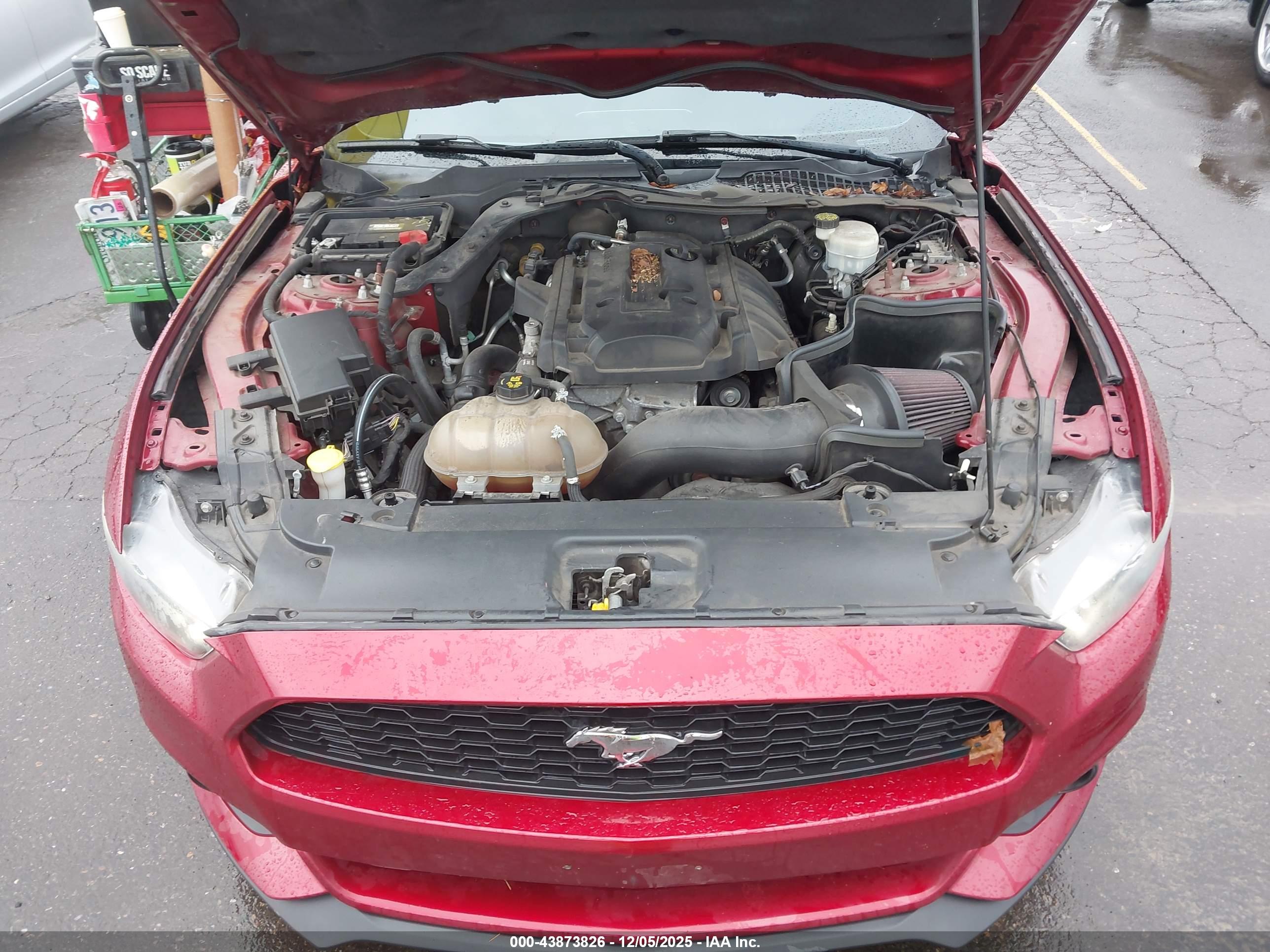 FORD MUSTANG image 10
