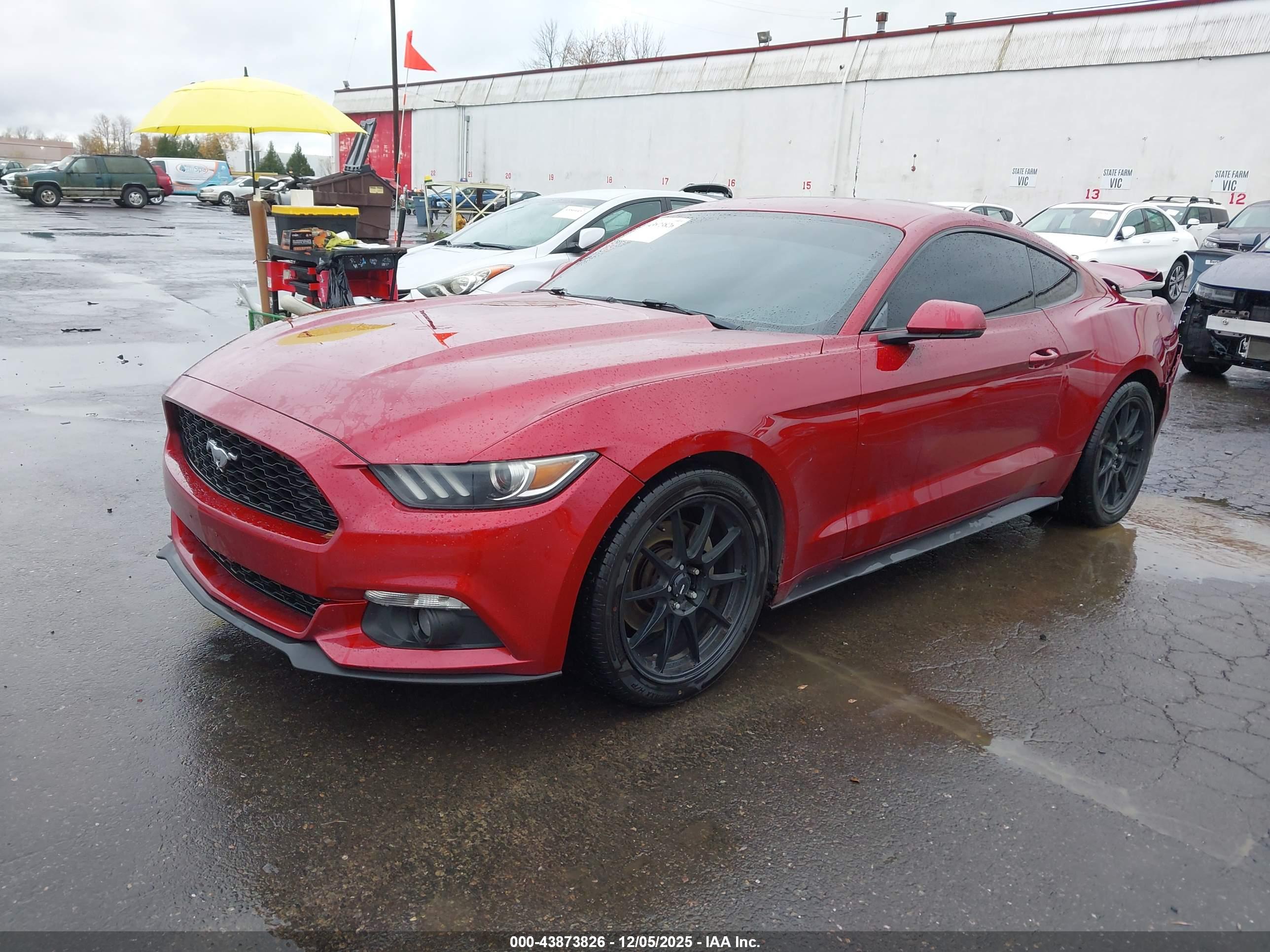 FORD MUSTANG image 2