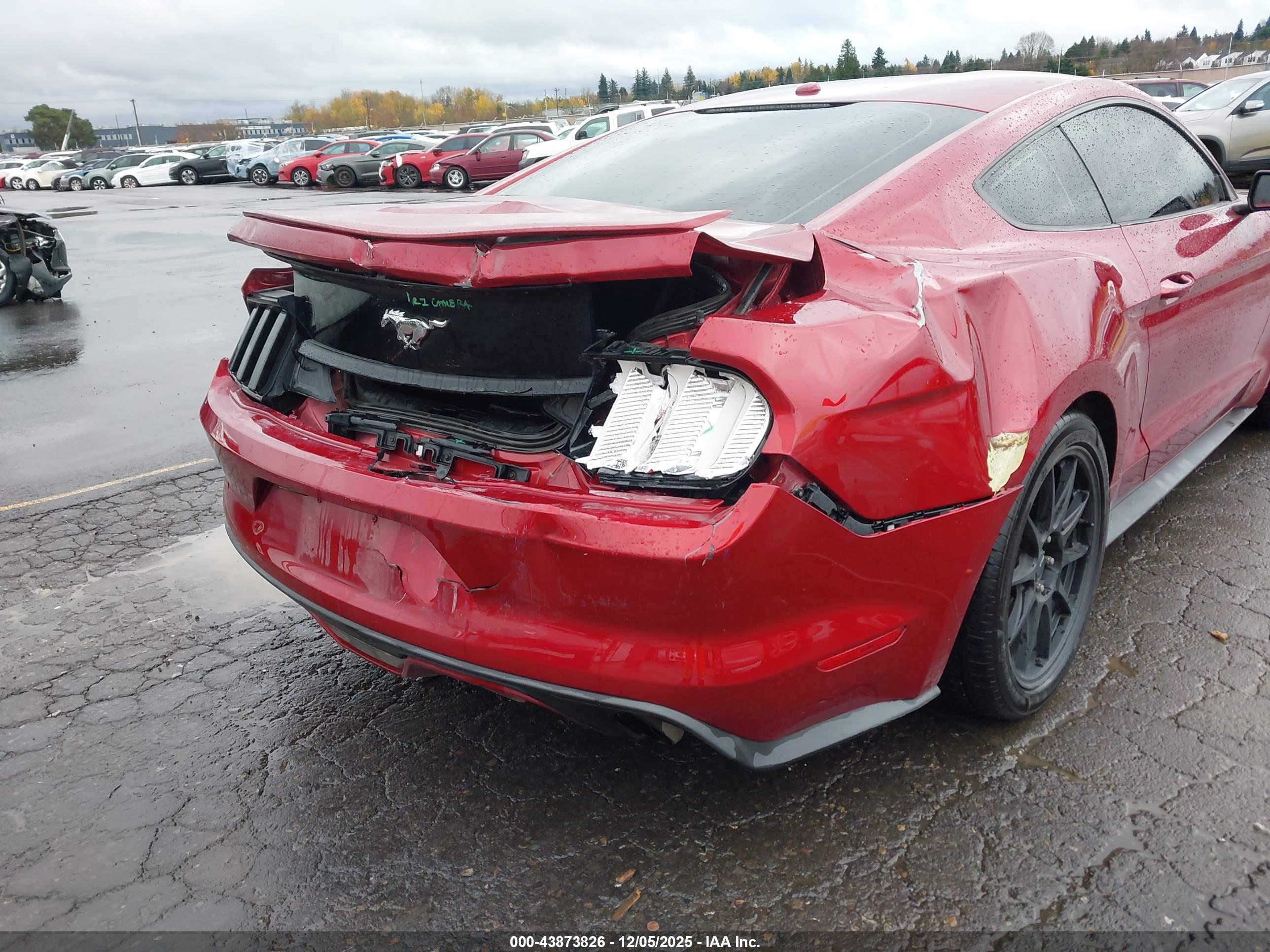 FORD MUSTANG image 6