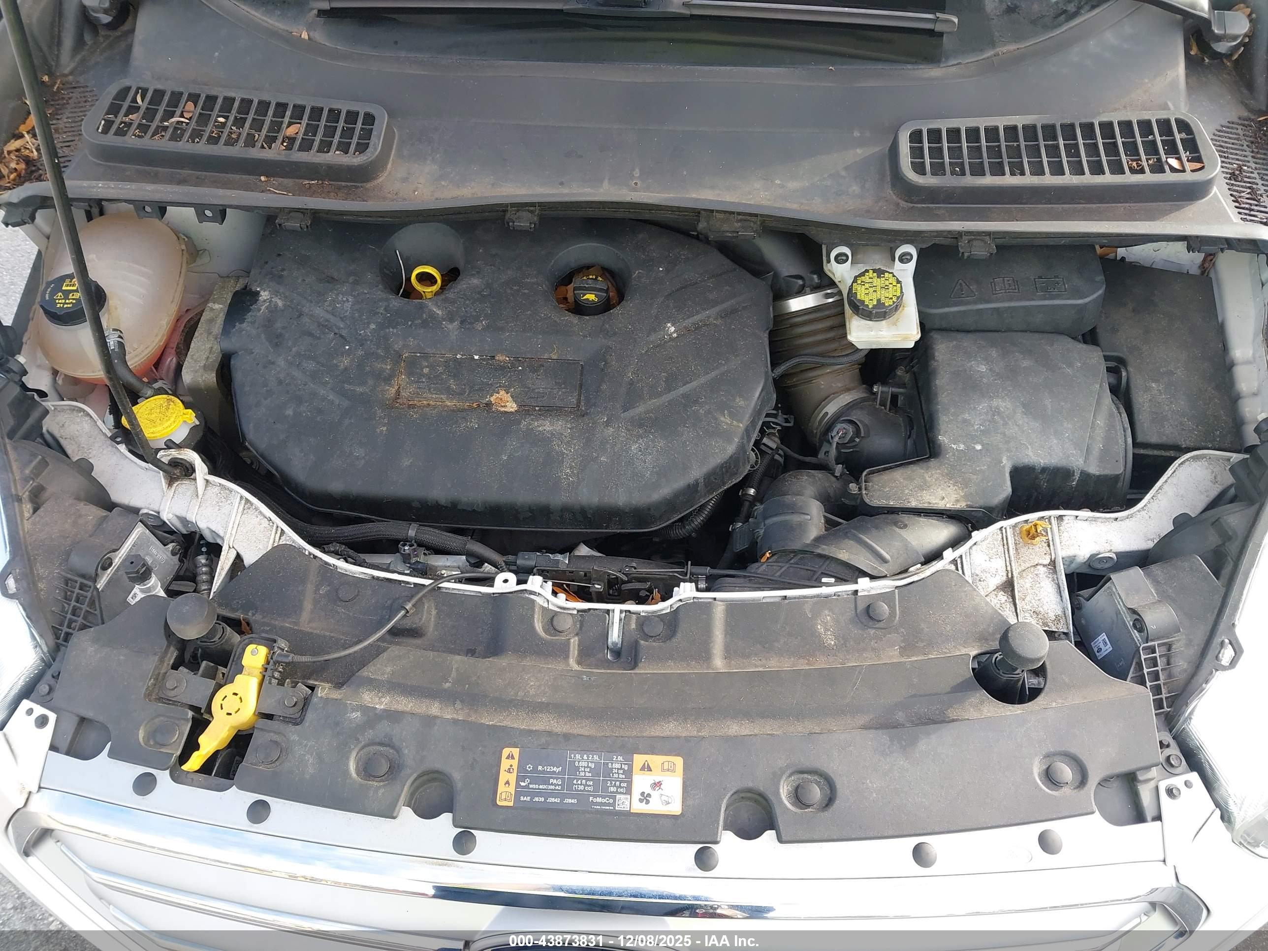 FORD ESCAPE image 10